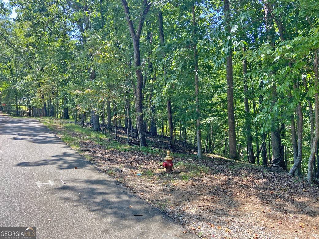 Dahlonega, GA 30533,0 Chokecherry LN