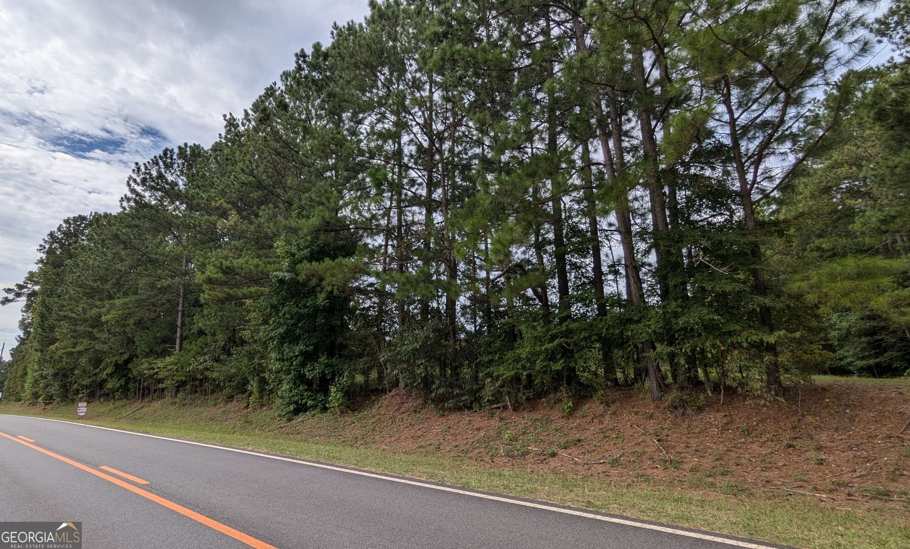 Forsyth, GA 31029,0 Pine Grove Church RD