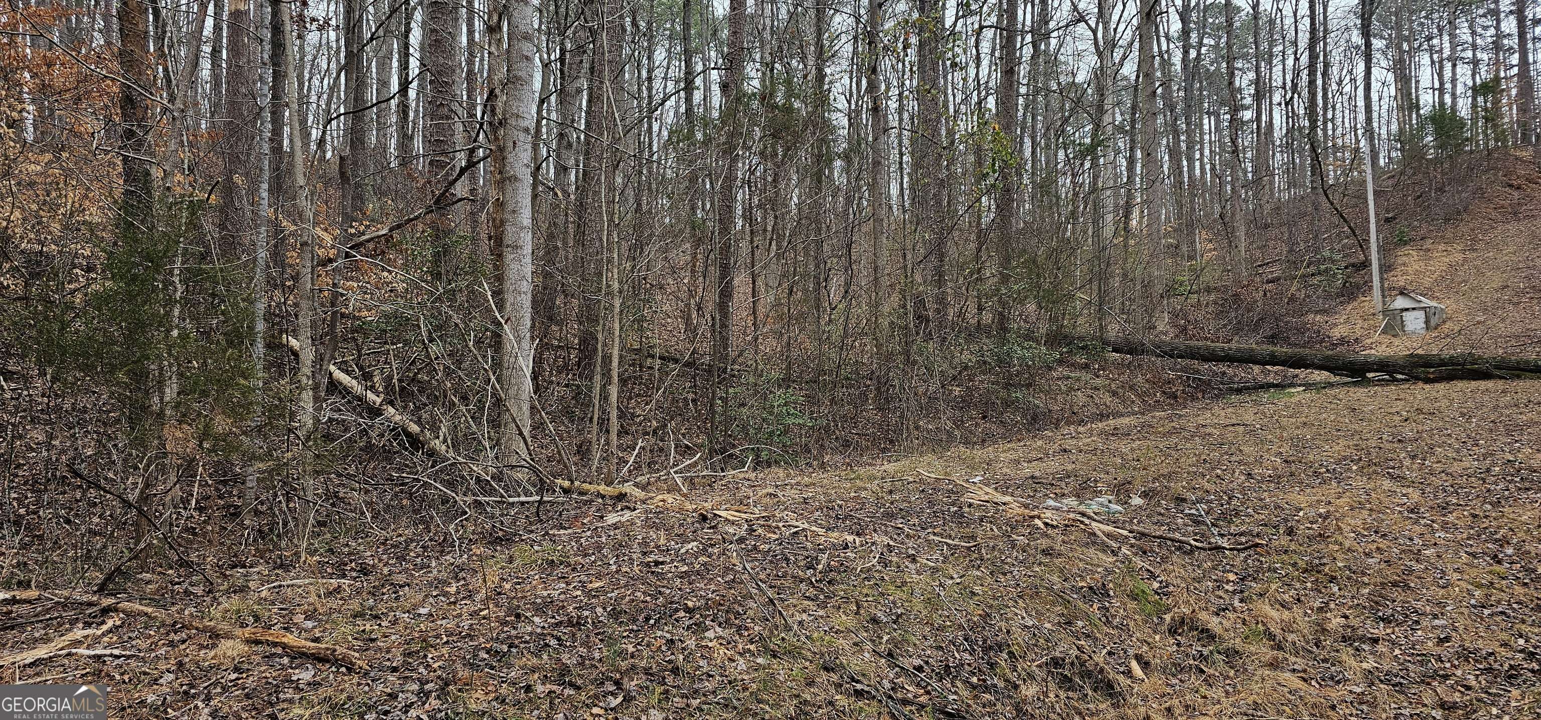 Martin, GA 30557,72 Dogwood