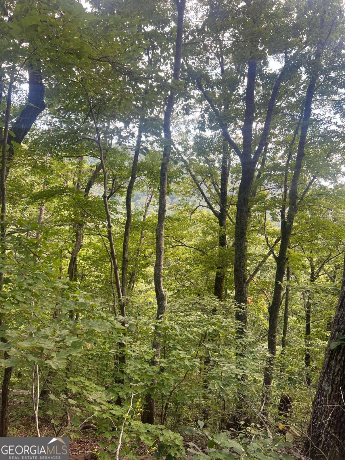 Talking Rock, GA 30175,0 Folkstone RD
