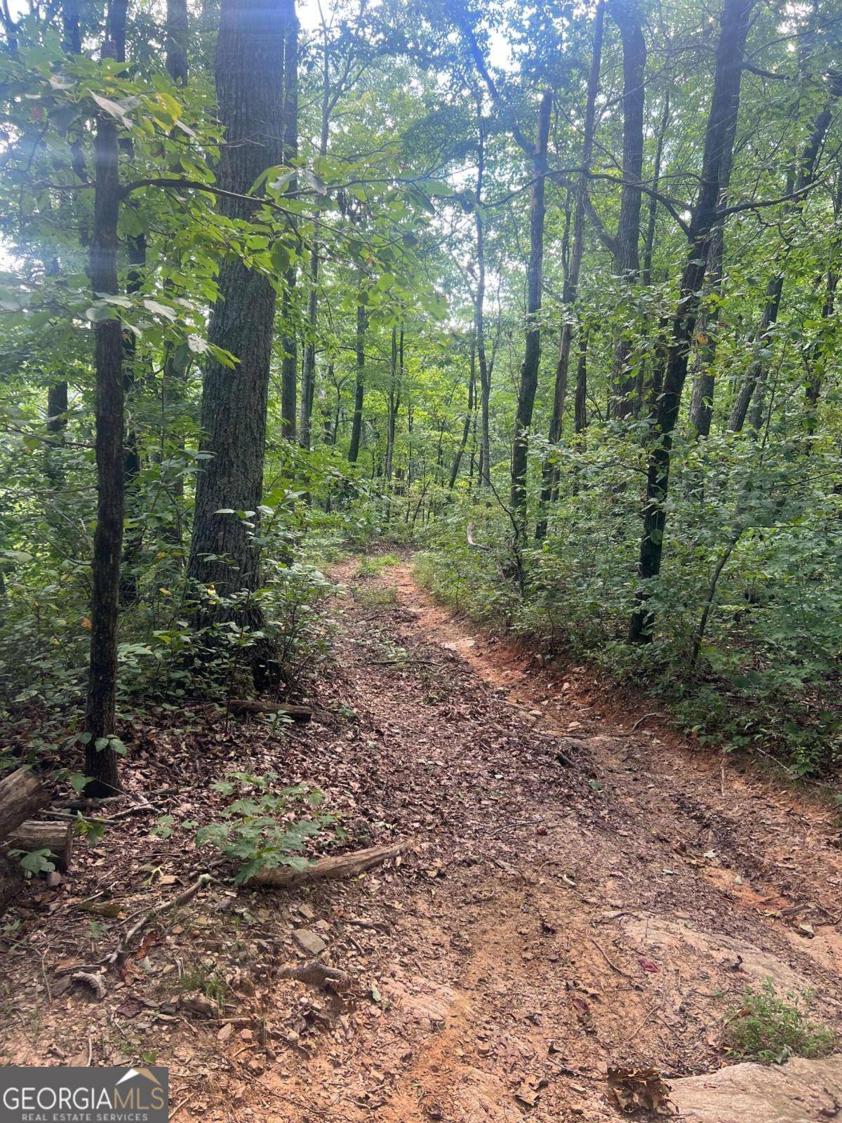Talking Rock, GA 30175,0 Folkstone RD