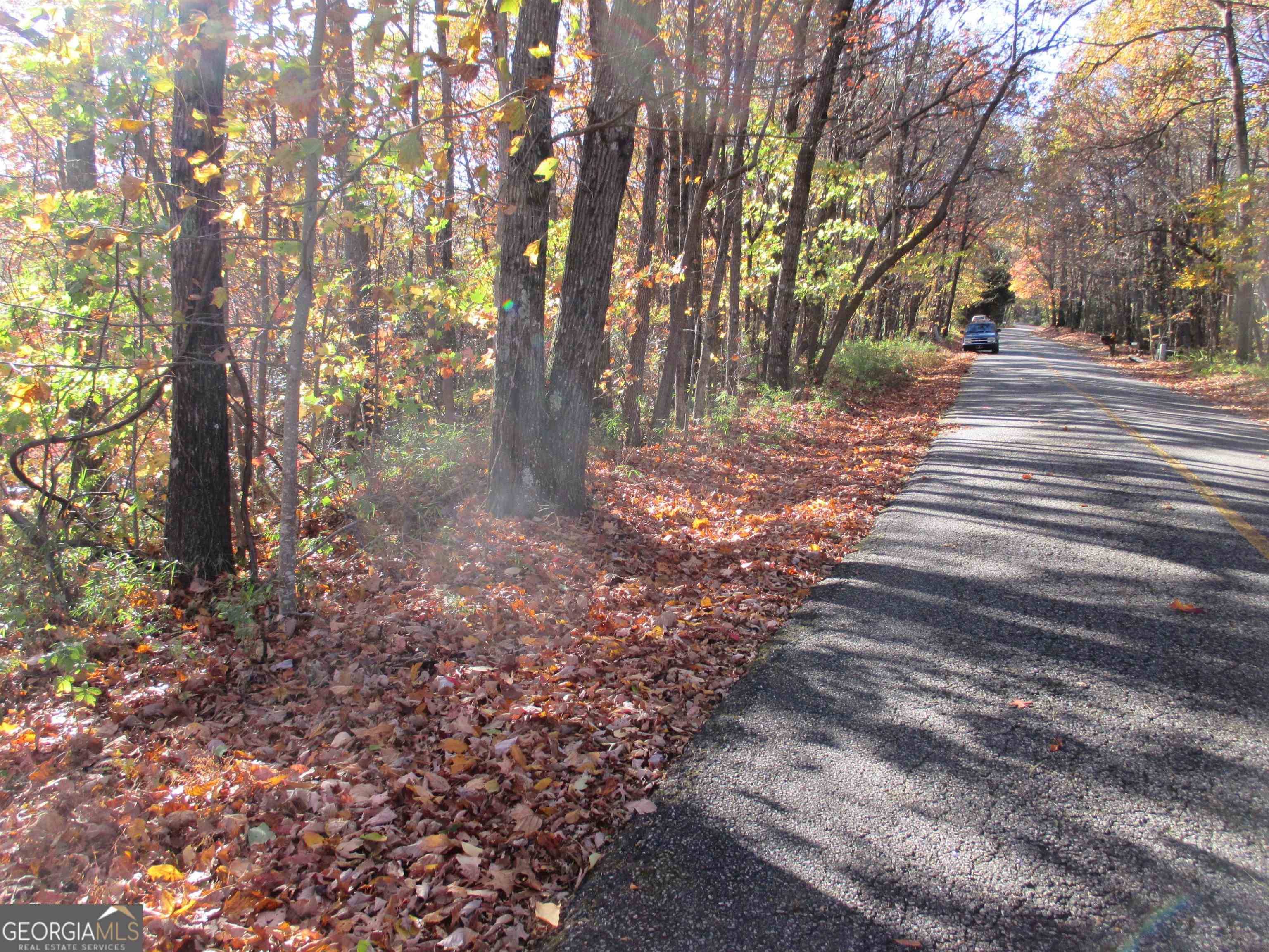 Jasper, GA 30143,LOT 130 Upper Sassafras Pkwy