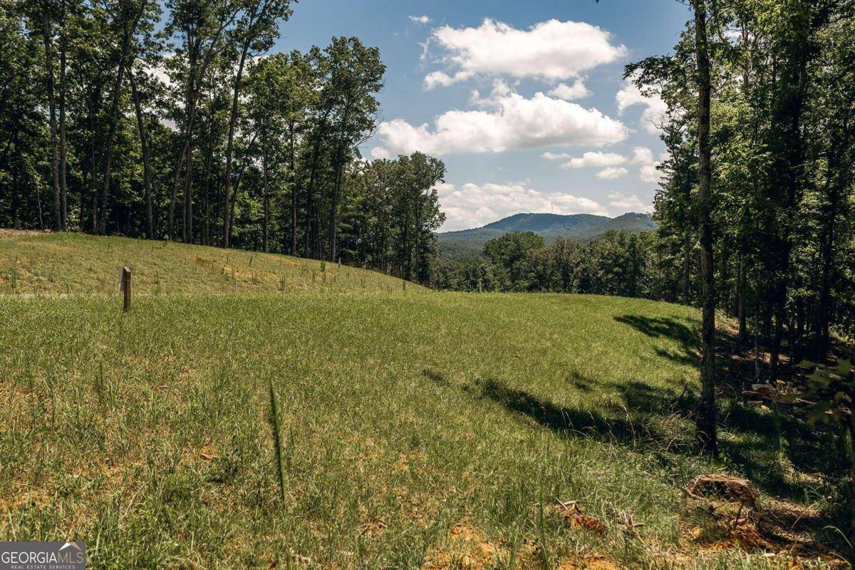 Morganton, GA 30560,LOT 13 Ridges Of Blue Ridge