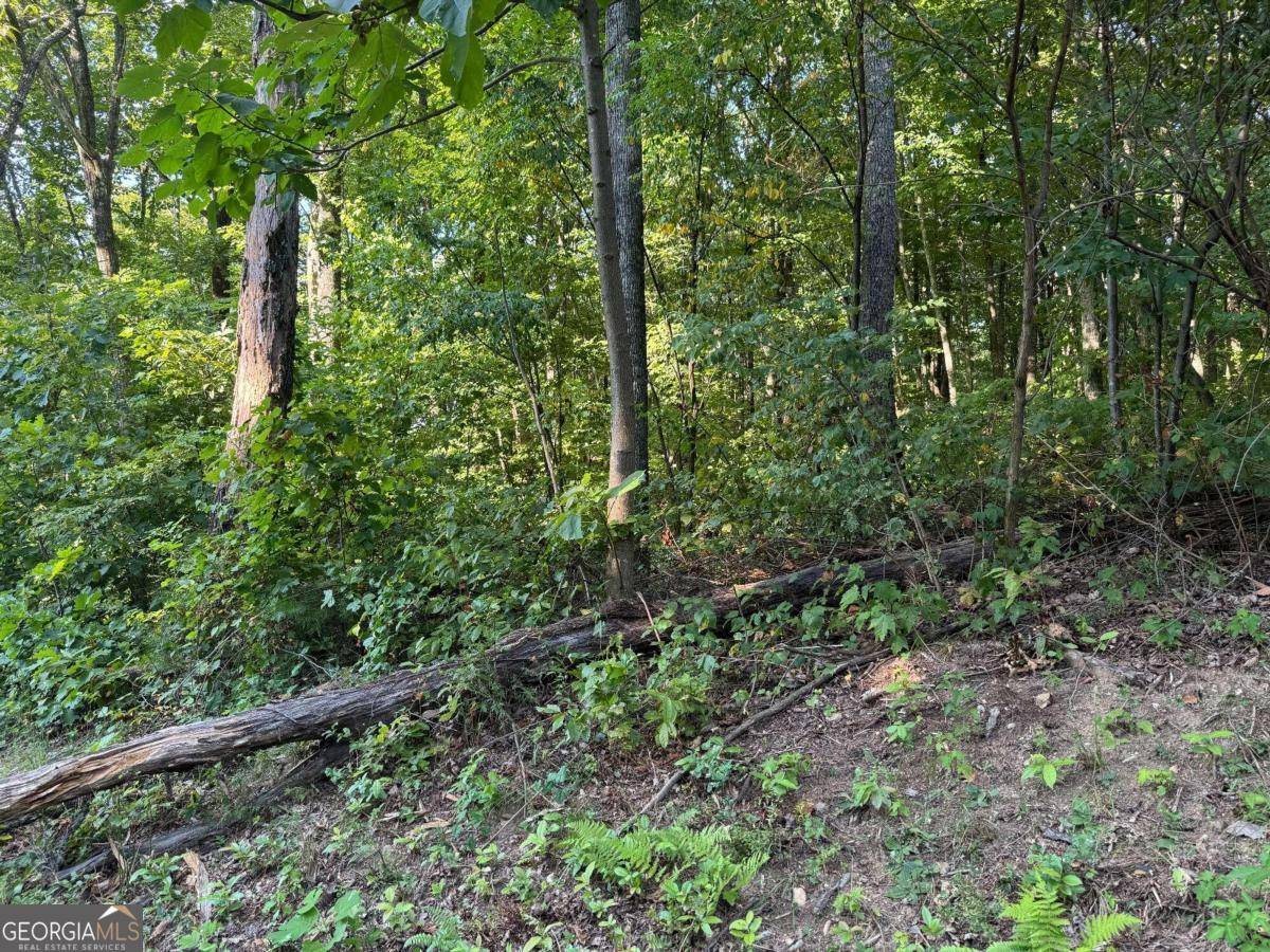 Ellijay, GA 30536,0 Trailwood DR