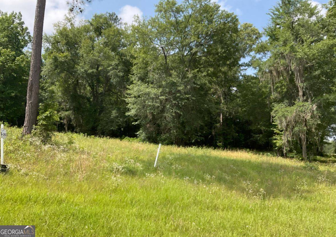 Hawkinsville, GA 31036,LOT 35 River Ridge