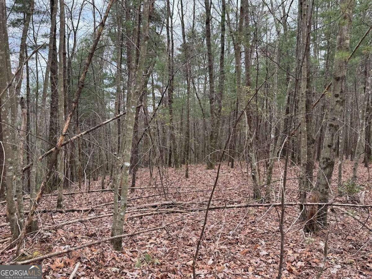 Ellijay, GA 30540,TRACT D Harpers Creek RD