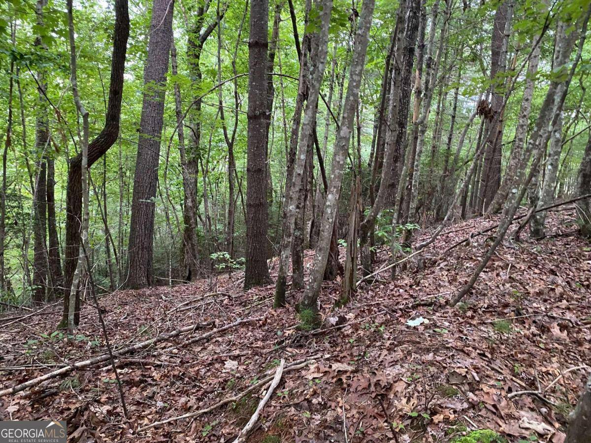 Ellijay, GA 30540,TRACT A Harpers Creek RD