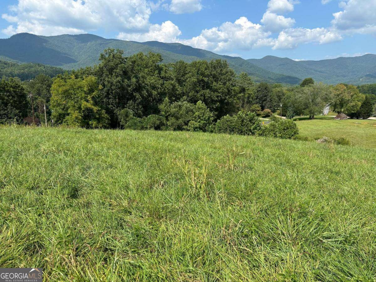Hayesville, NC 28904,9.12-AC Mission Hill RD