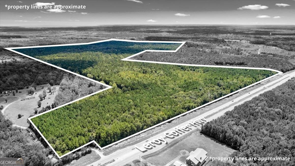 Fleming, GA 31309,262.44 AC Leroy Coffer HWY