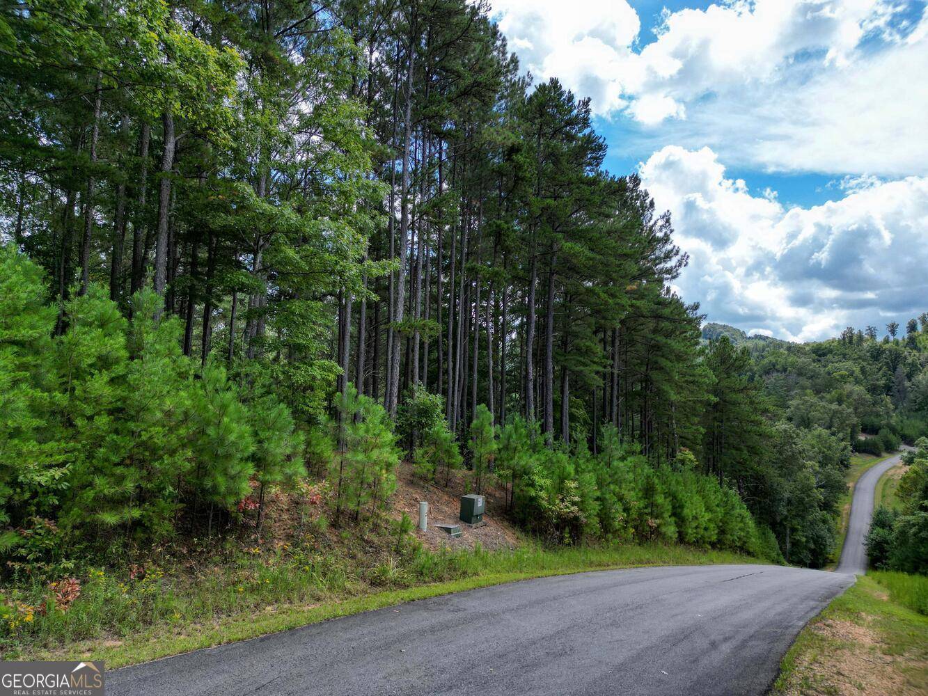 Blairsville, GA 30512,LOT 236 Riverside on Lake Nottely