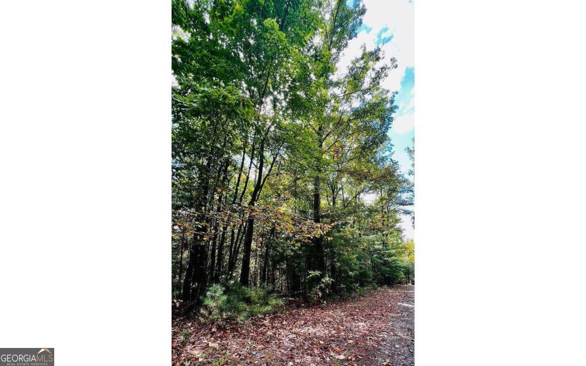 Young Harris, GA 30582,LOT 3 Wild Turkey