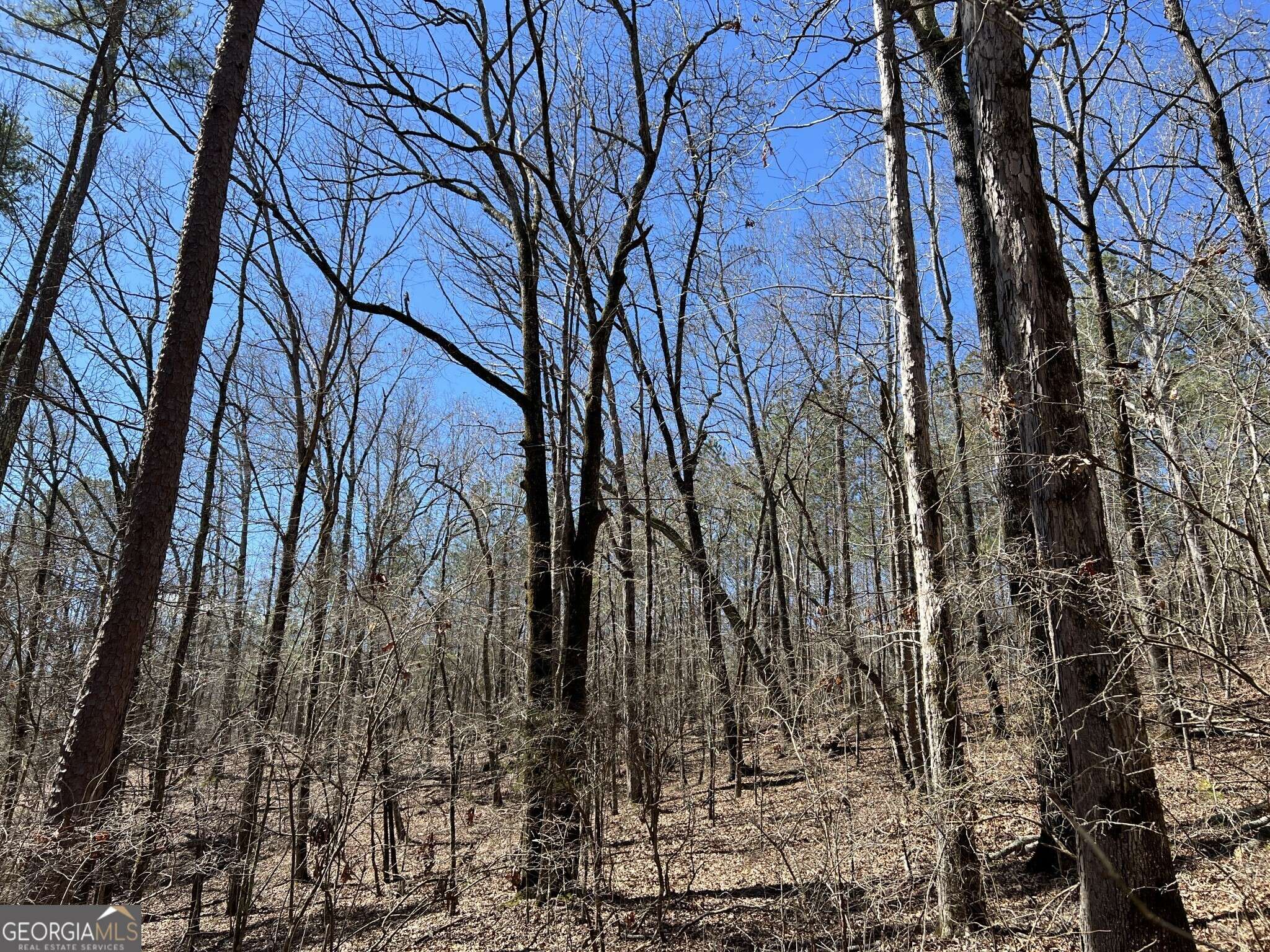 Elberton, GA 30635,TRACT B1 Hulmes Chapel RD