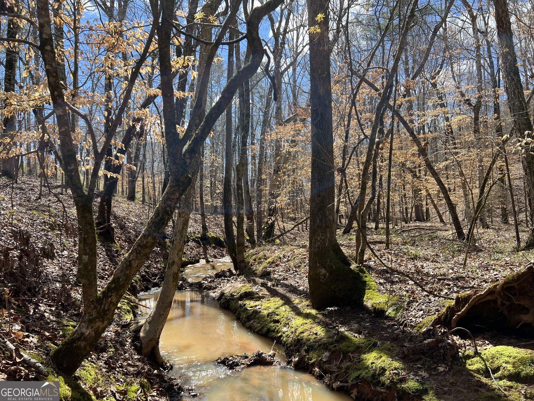 Elberton, GA 30635,TRACT B2 Hulmes Chapel RD