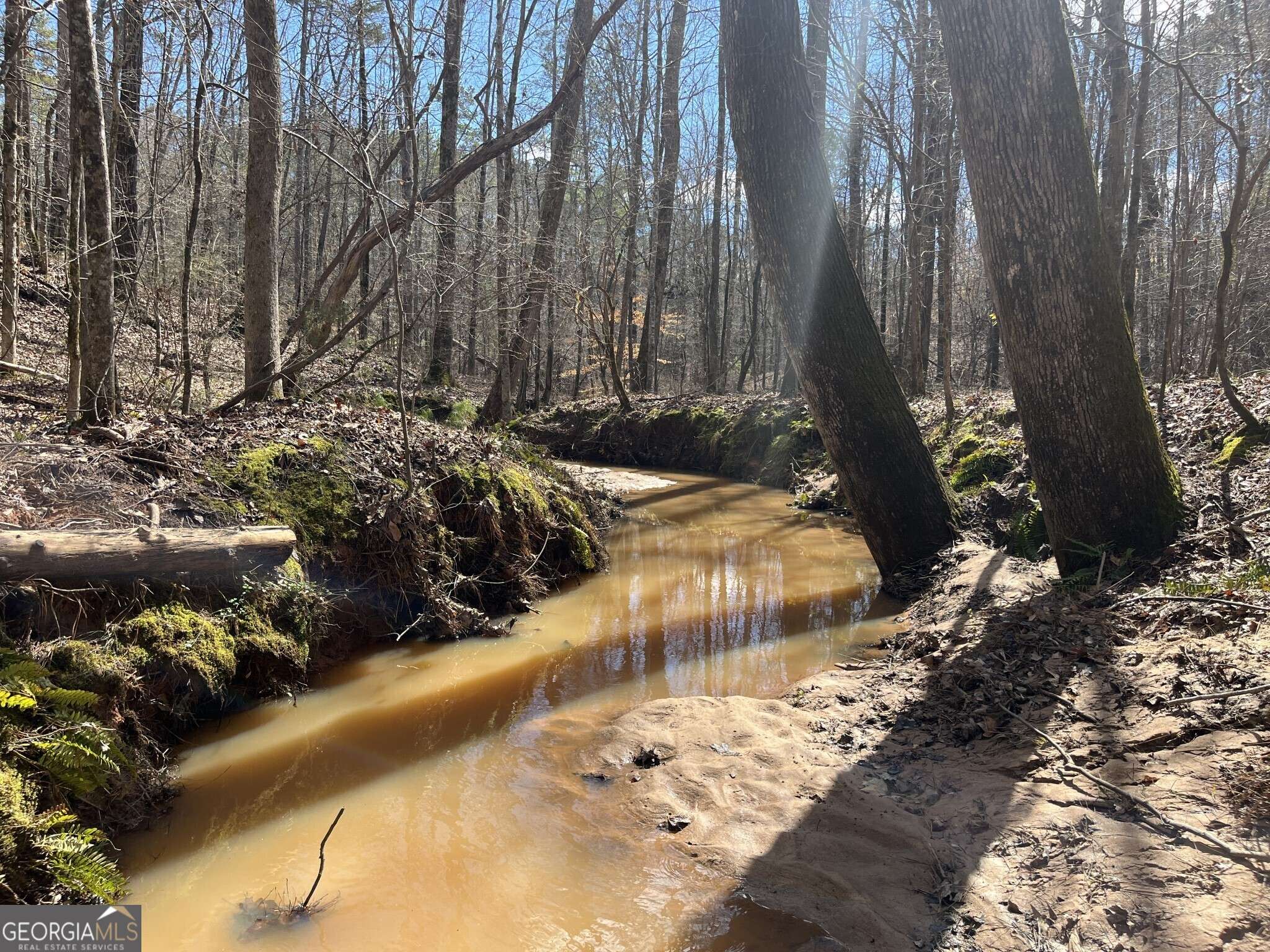 Elberton, GA 30635,TRACT R4 Hulmes Chapel