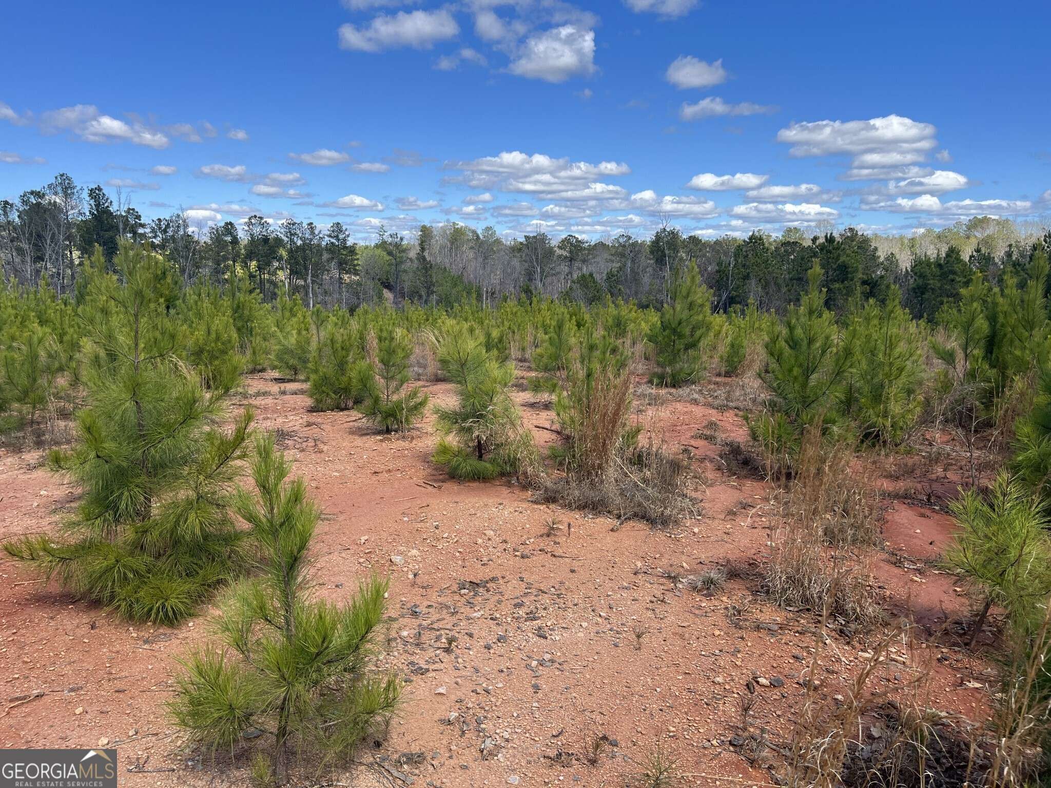 Elberton, GA 30635,TRACT R3 Hulmes Chapel RD