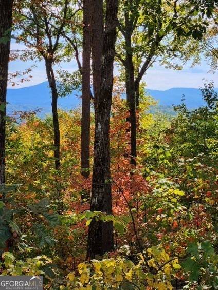 Ellijay, GA 30540,LOT 16 Abbott Mill Road