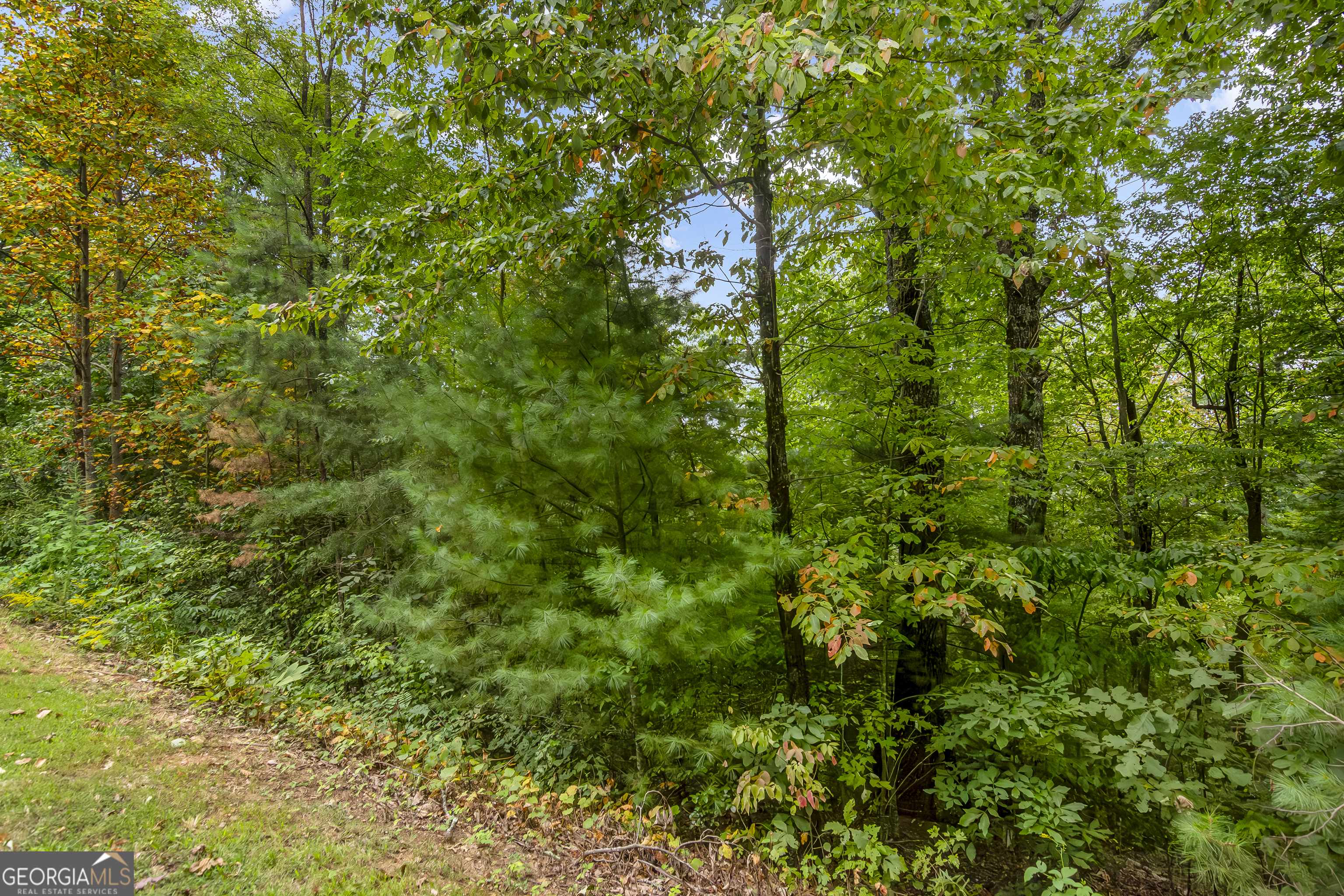 Ellijay, GA 30540,LOT 16 Abbott Mill Road