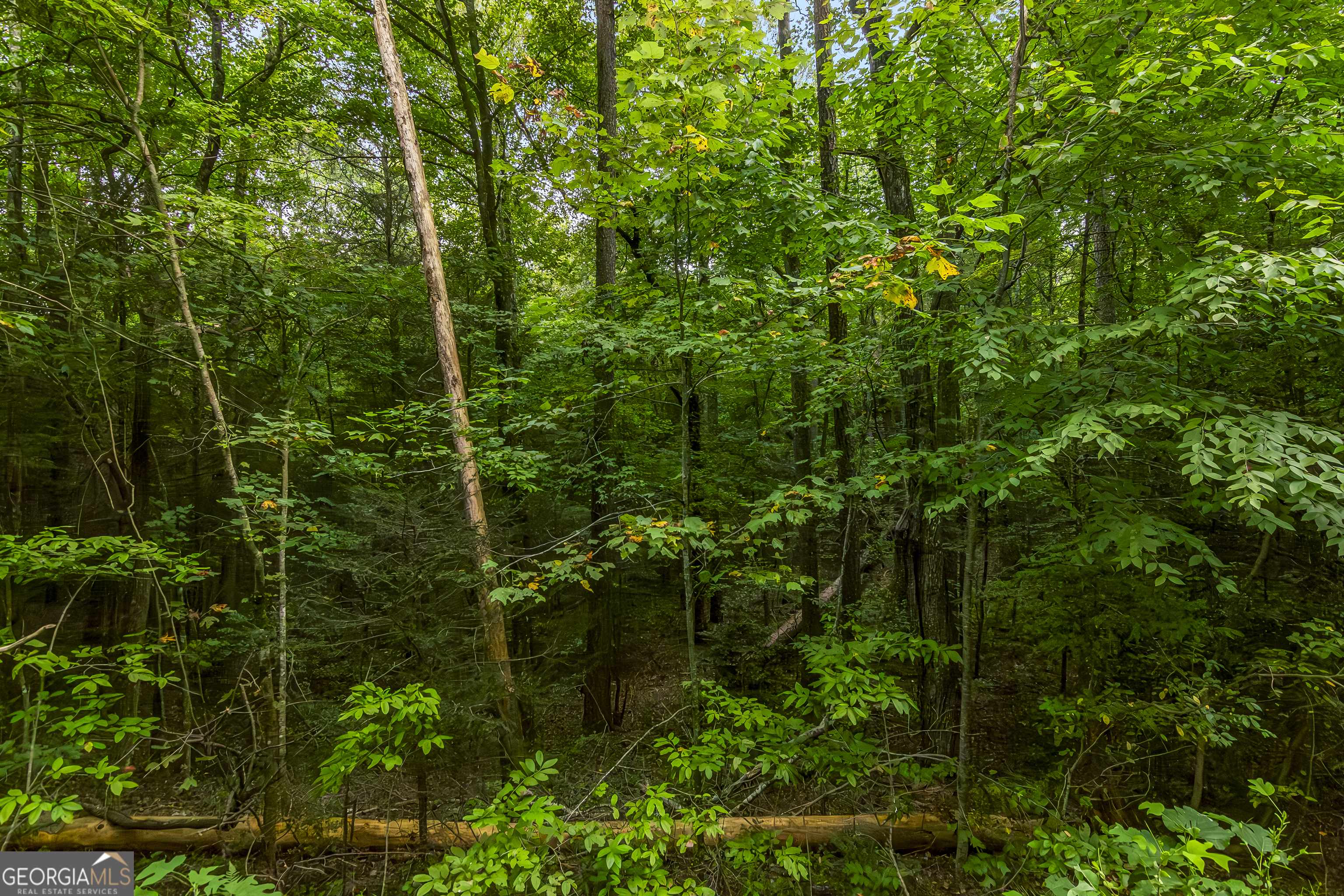 Ellijay, GA 30540,LOT 45 Abbott Mill Road