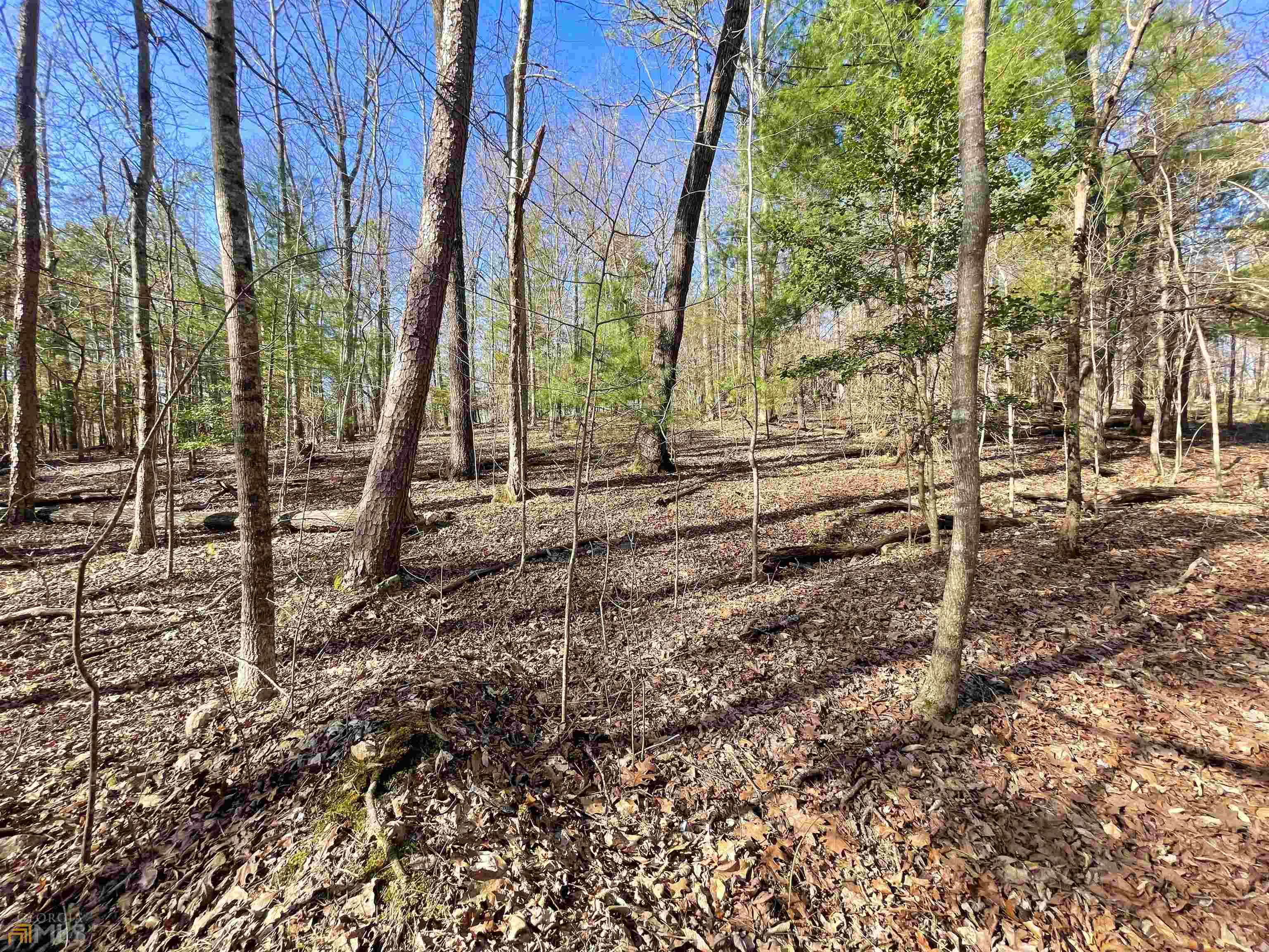 Ellijay, GA 30540,0 188 Lemmon LN