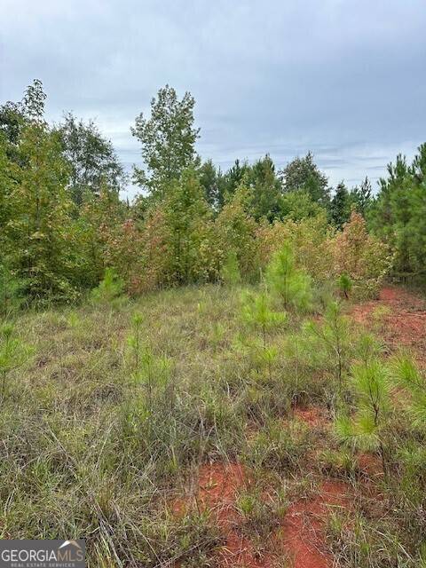 Thomaston, GA 30286,0 Woodland