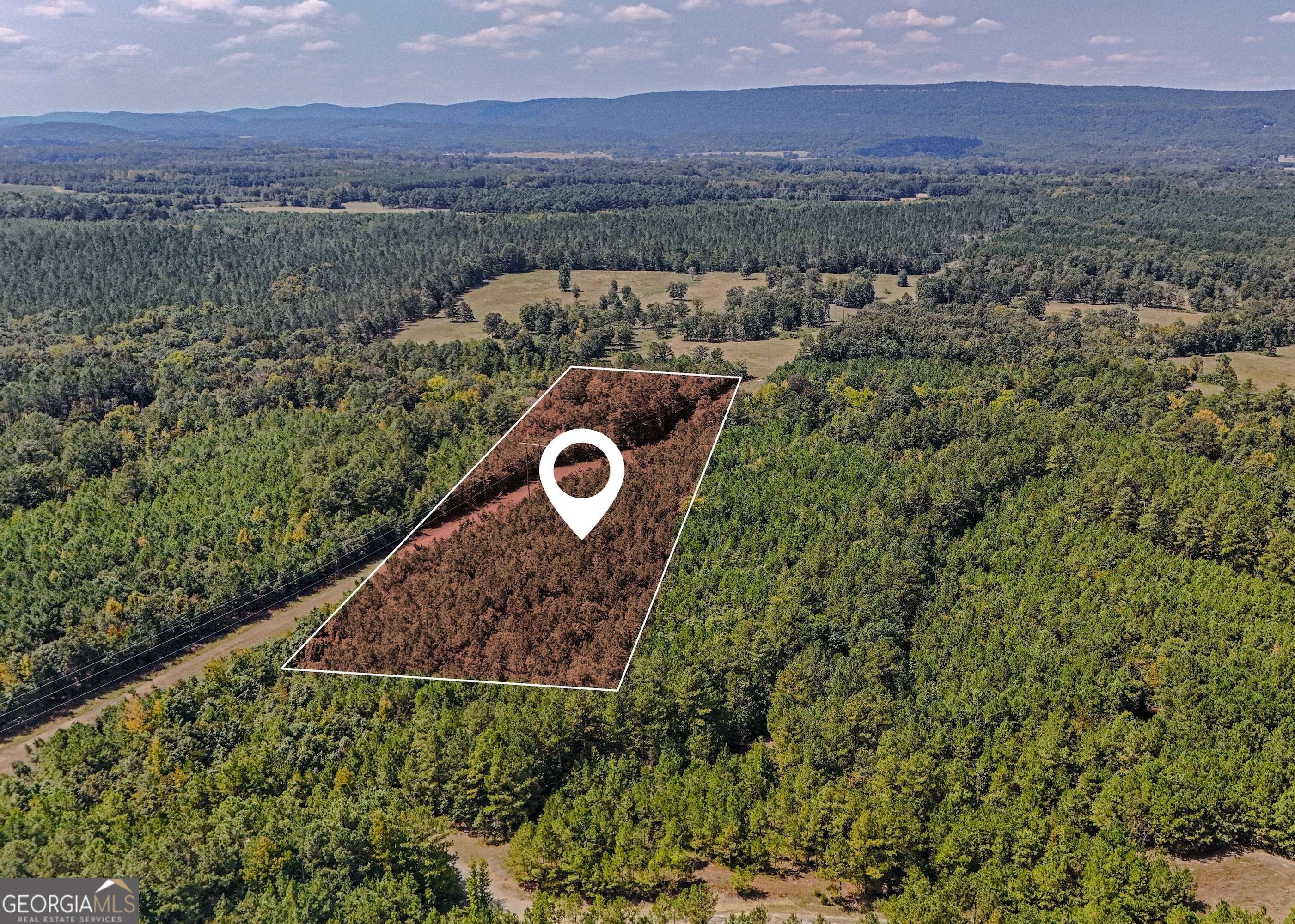 Leesburg, AL 35983,0 County Road 235 #TRACT 3