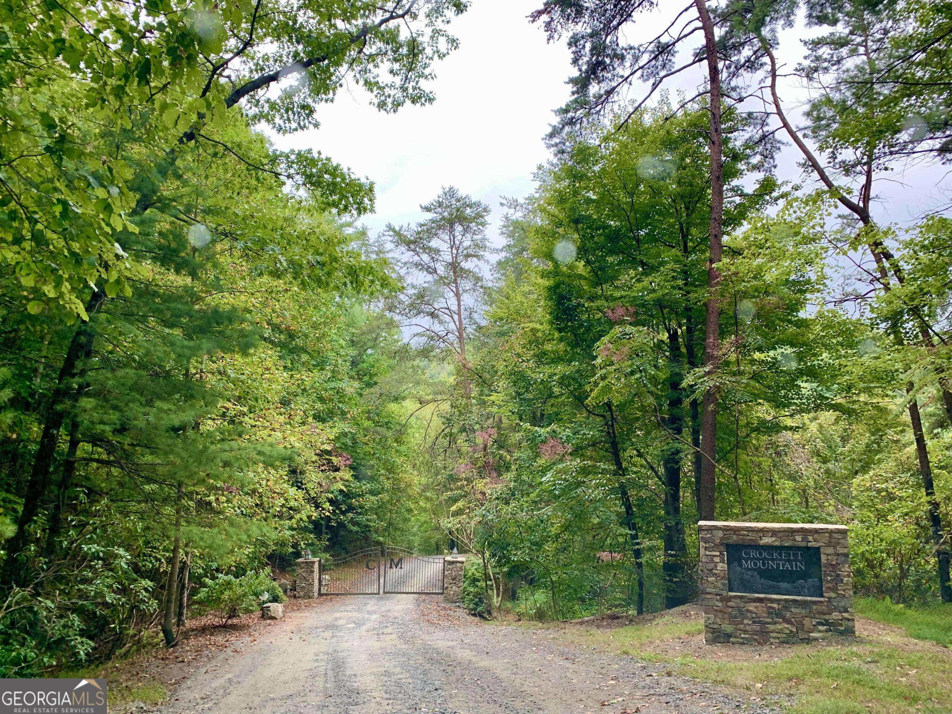 Cherry Log, GA 30522,LOT 17 CROCKETT Laurel Creek TRL