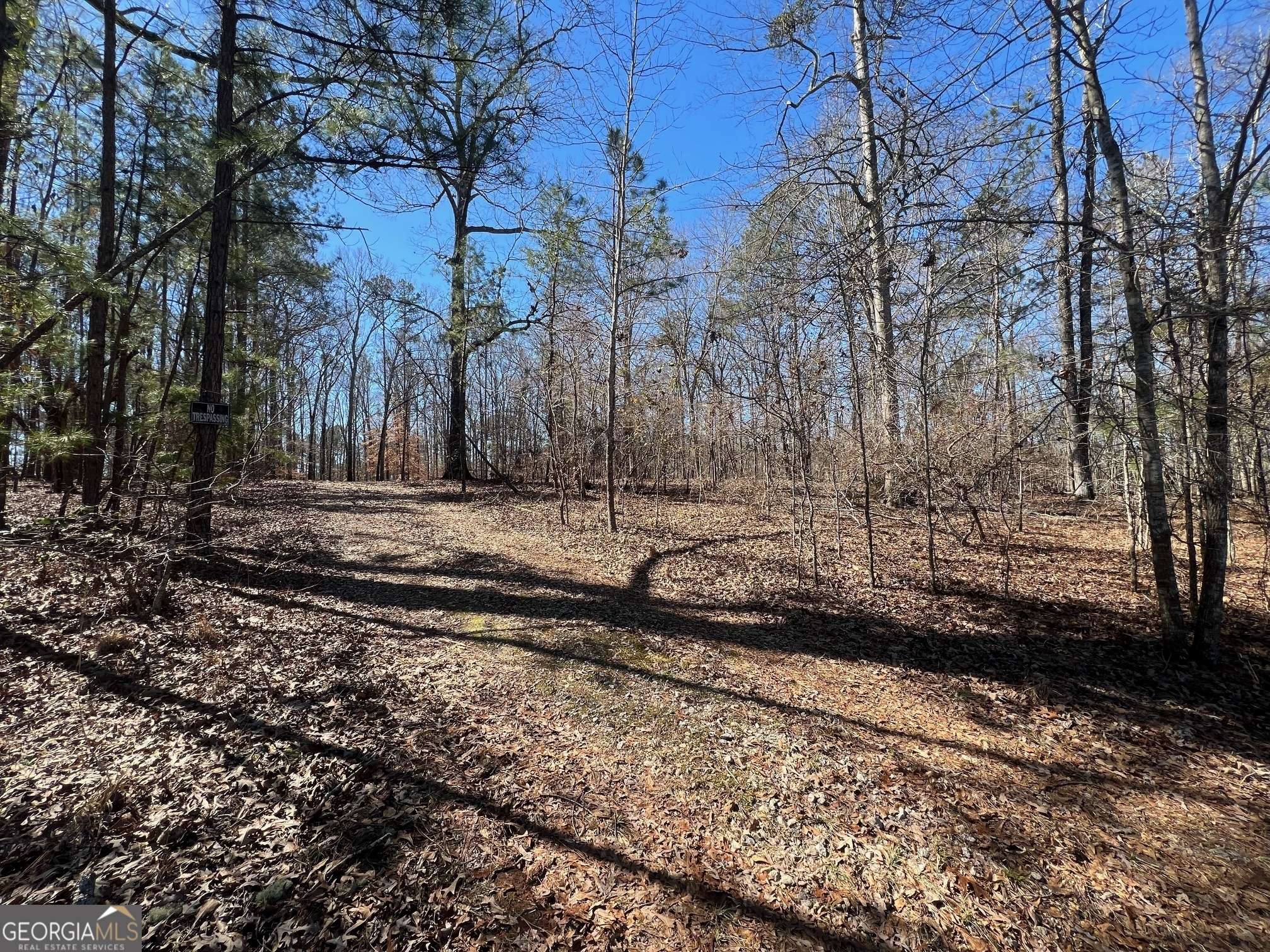 Sandersville, GA 31082,331 Hardwood Hollow