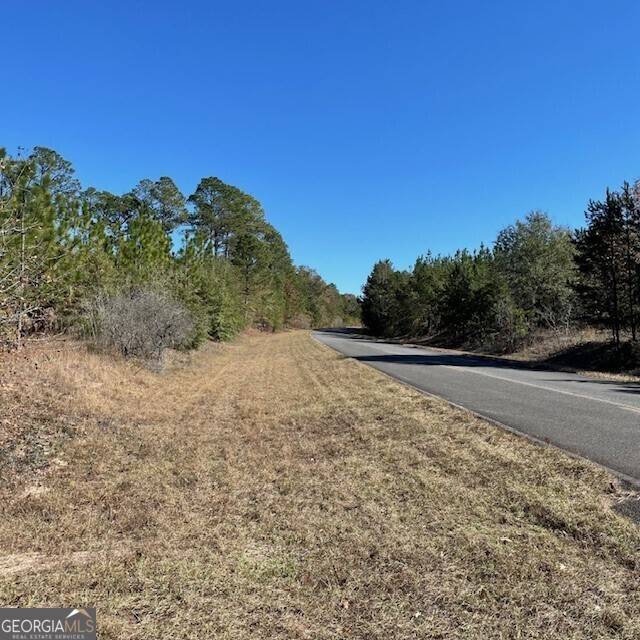 Buena Vista, GA 31803,40+/- ACRES Pineville RD