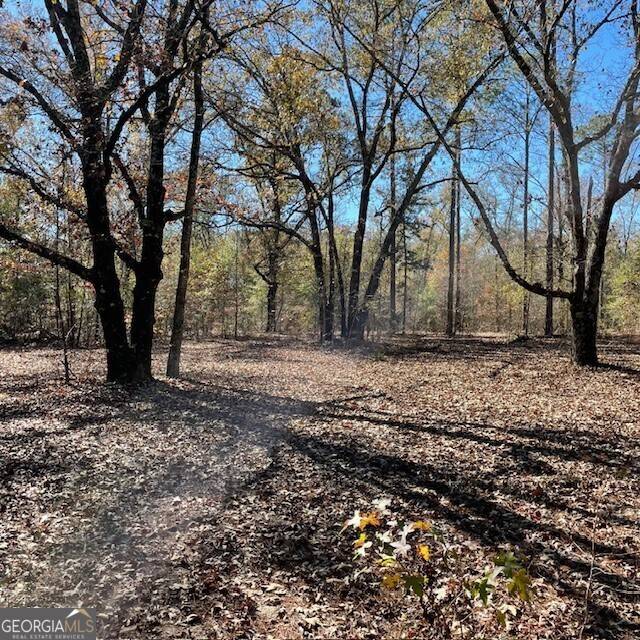 Buena Vista, GA 31803,100+/- ACRES EA Pineville RD