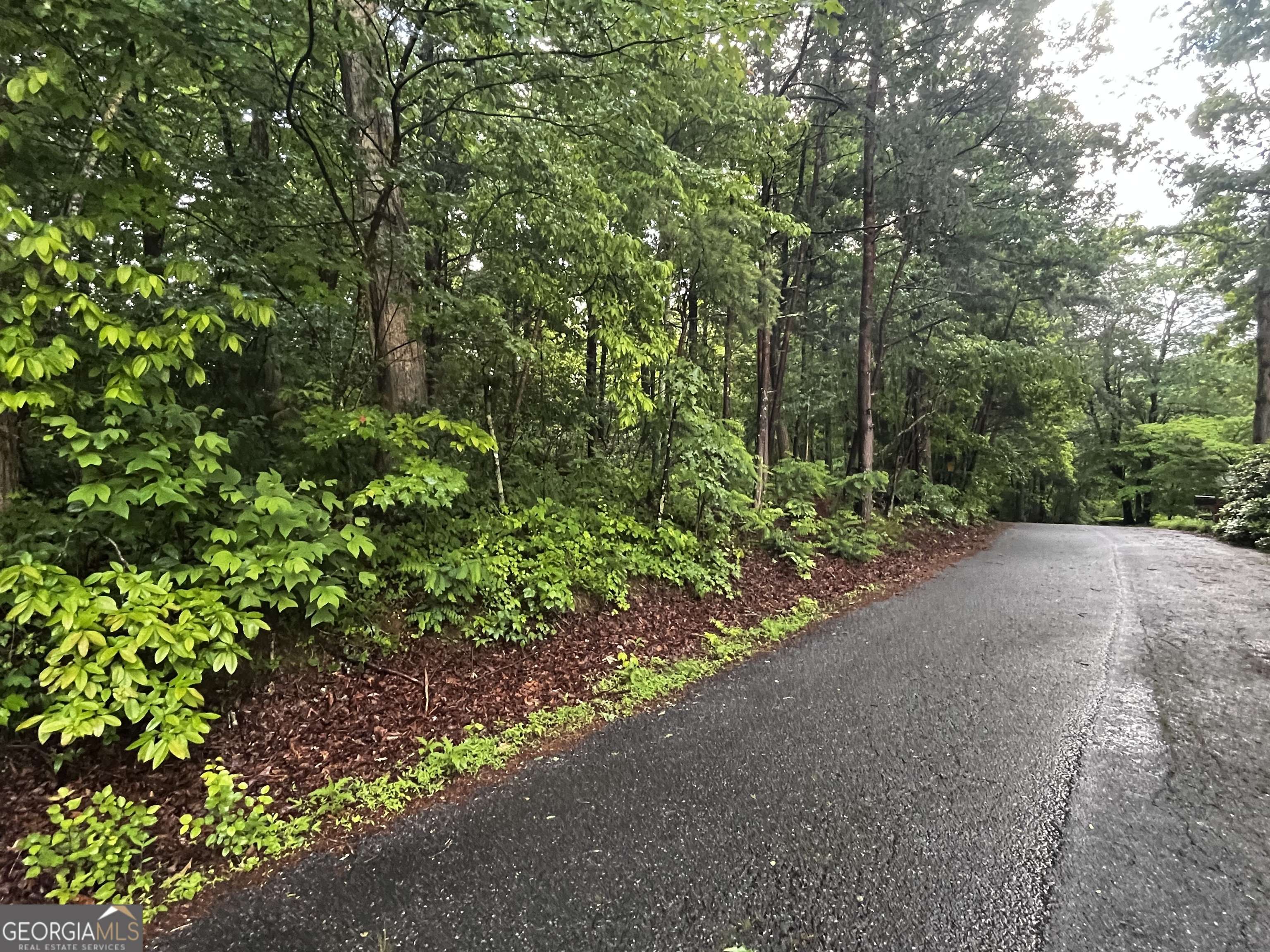 Hiawassee, GA 30546,LOT 9 Mcridge Drive