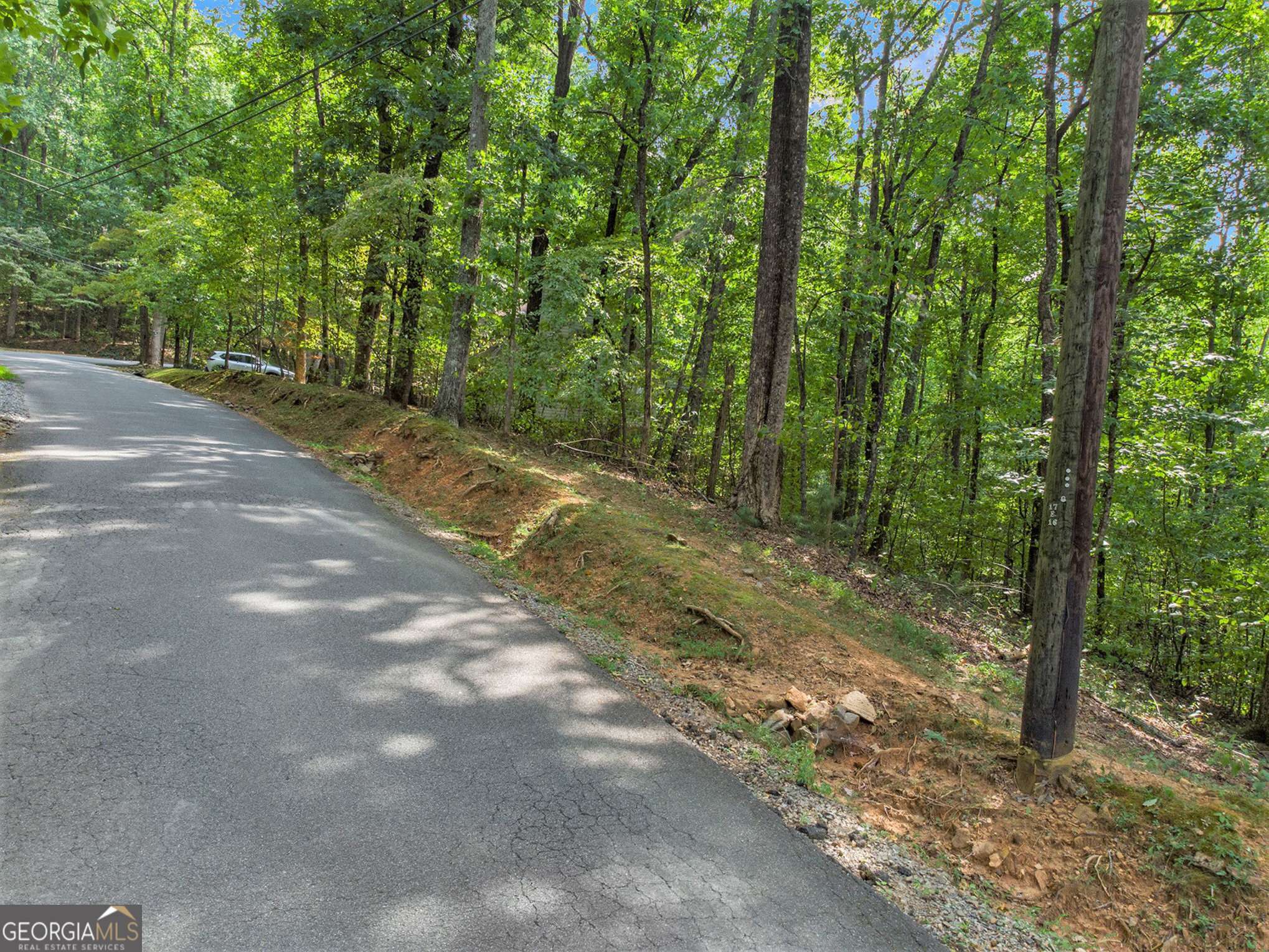 Ellijay, GA 30536,M100 Skyview