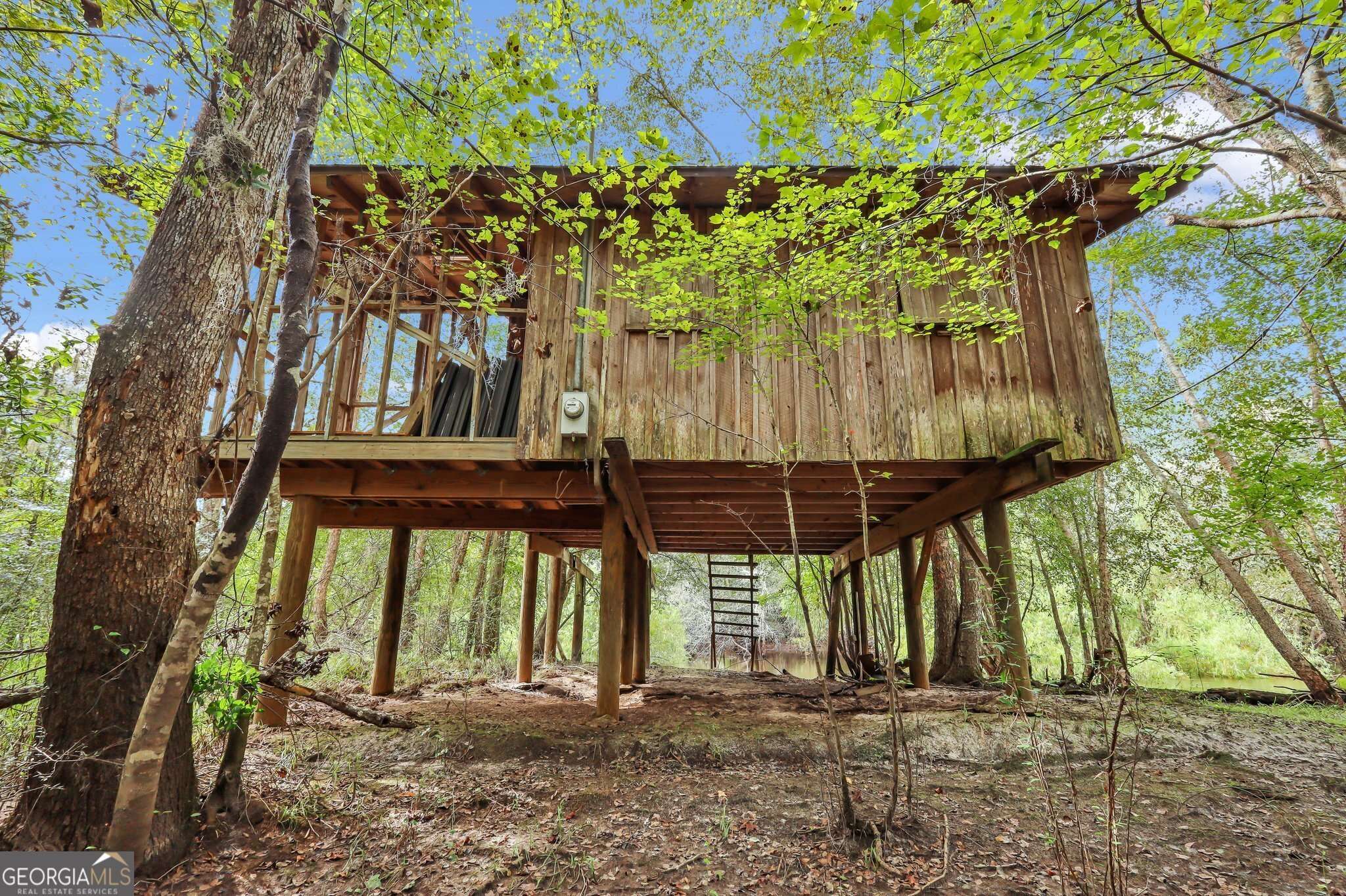 Nahunta, GA 31553,TRACT 2 Lewis LNDG