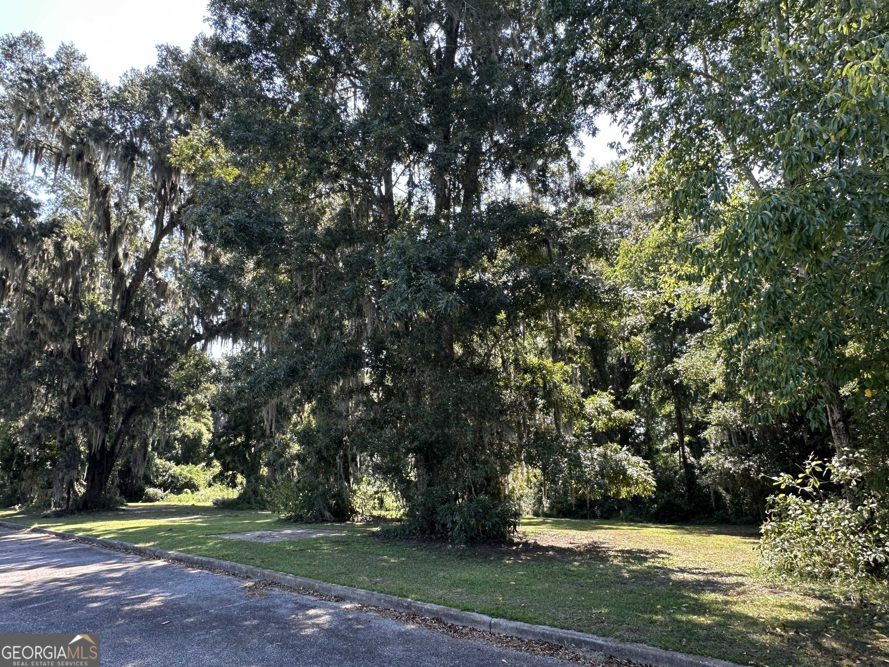 Darien, GA 31305,1231 River