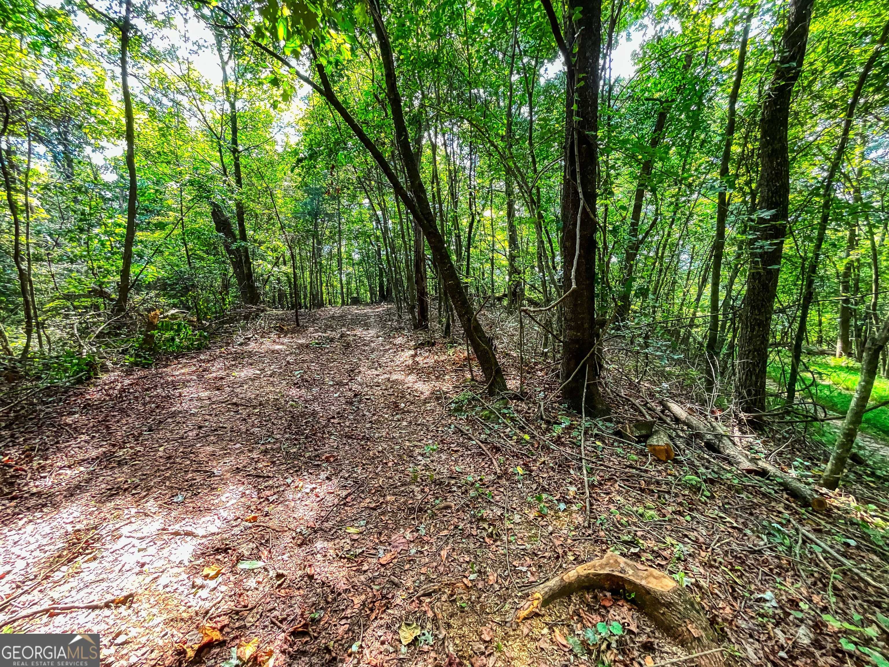 Ellijay, GA 30540,241 ACRES Legion RD