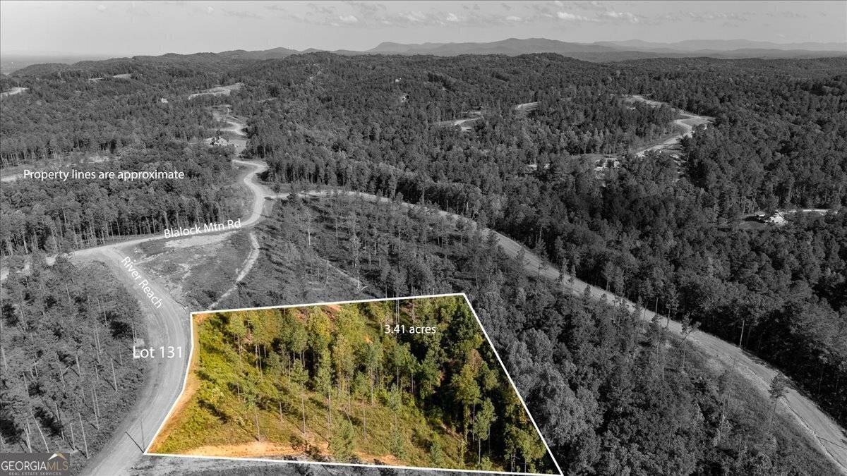 Talking Rock, GA 30175,LOT 131 River Reach LN