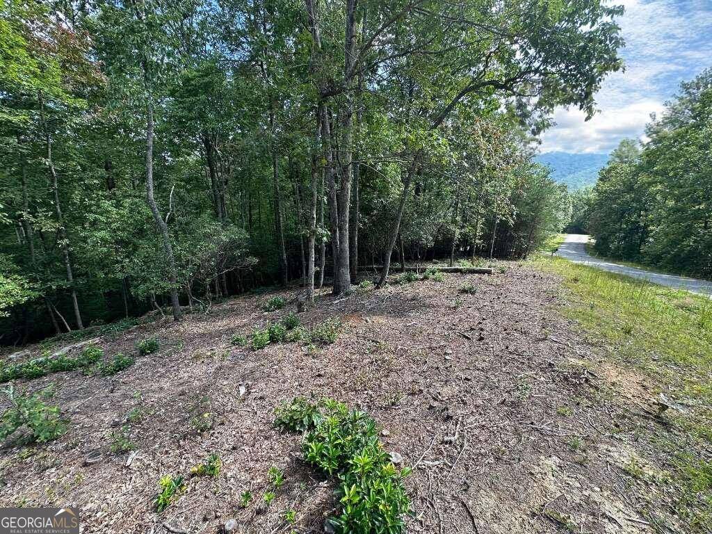 Young Harris, GA 30582,LOT 57 Asheland Cove DR #57
