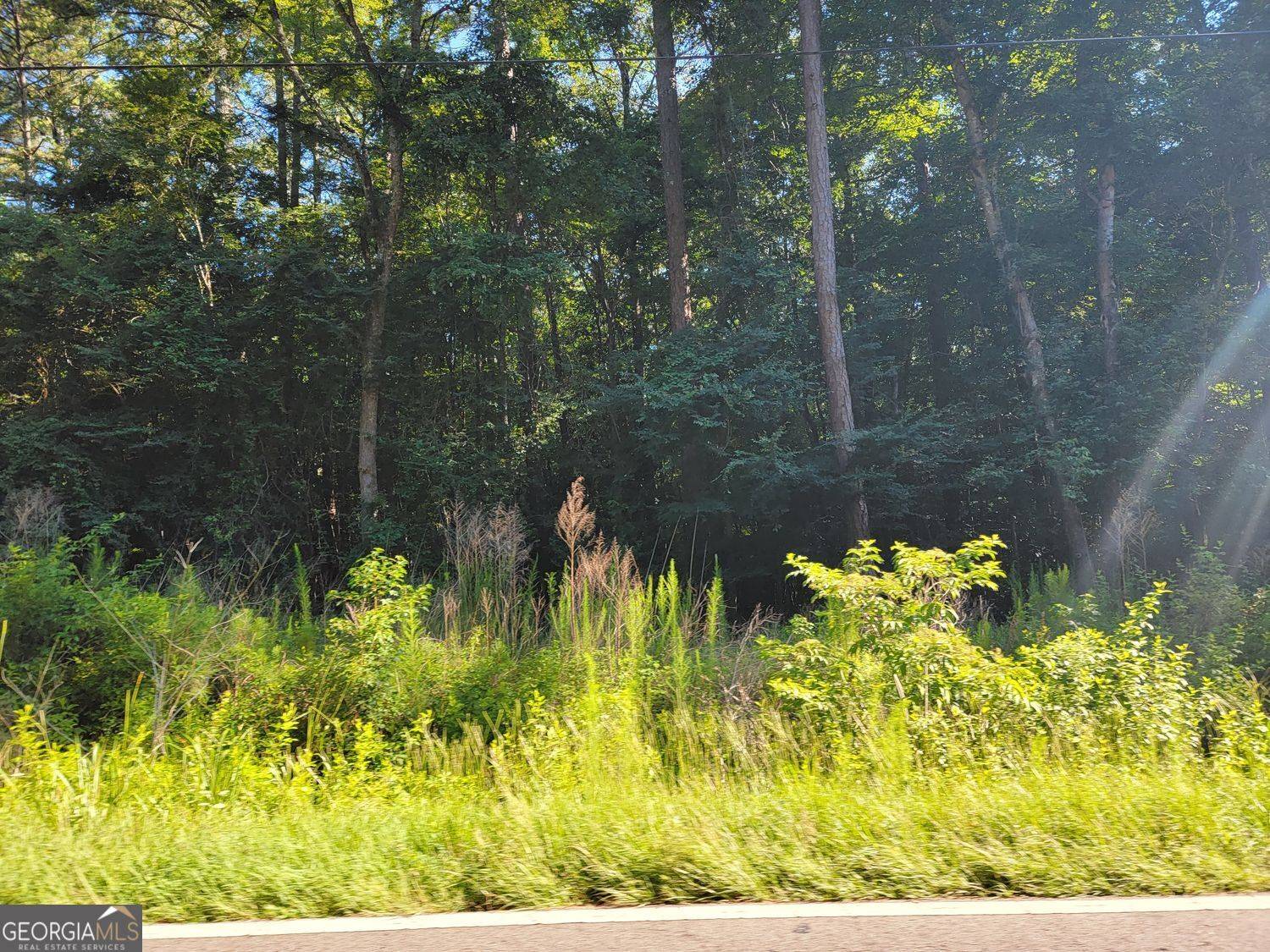 Ellenwood, GA 30294,420 Panola Road