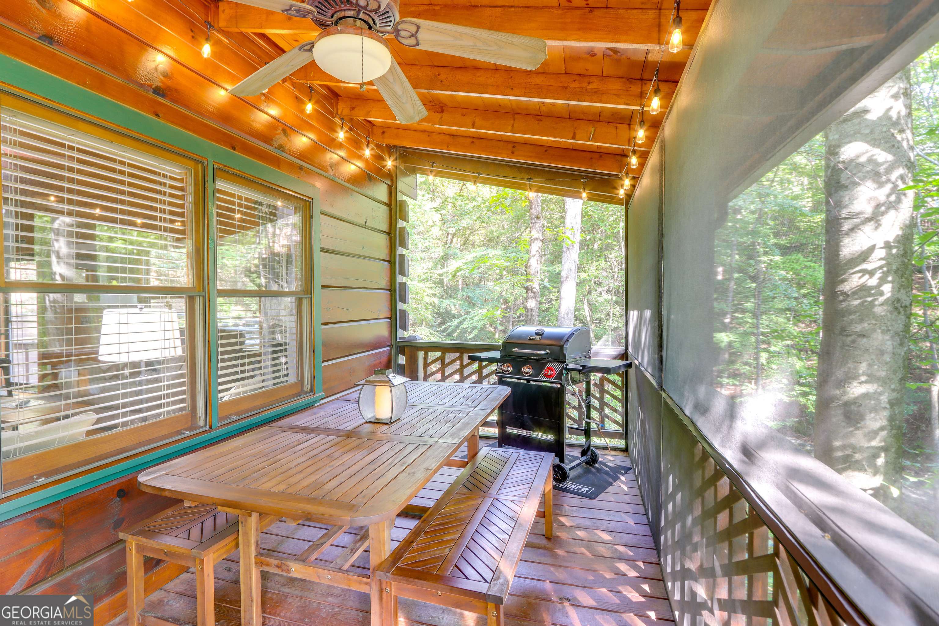 Blue Ridge, GA 30513,488 Joann Sisson RD