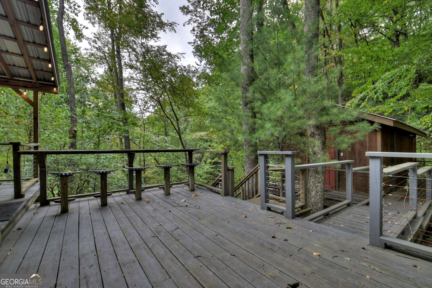 Blue Ridge, GA 30513,163 Chestnut Ridge TRL