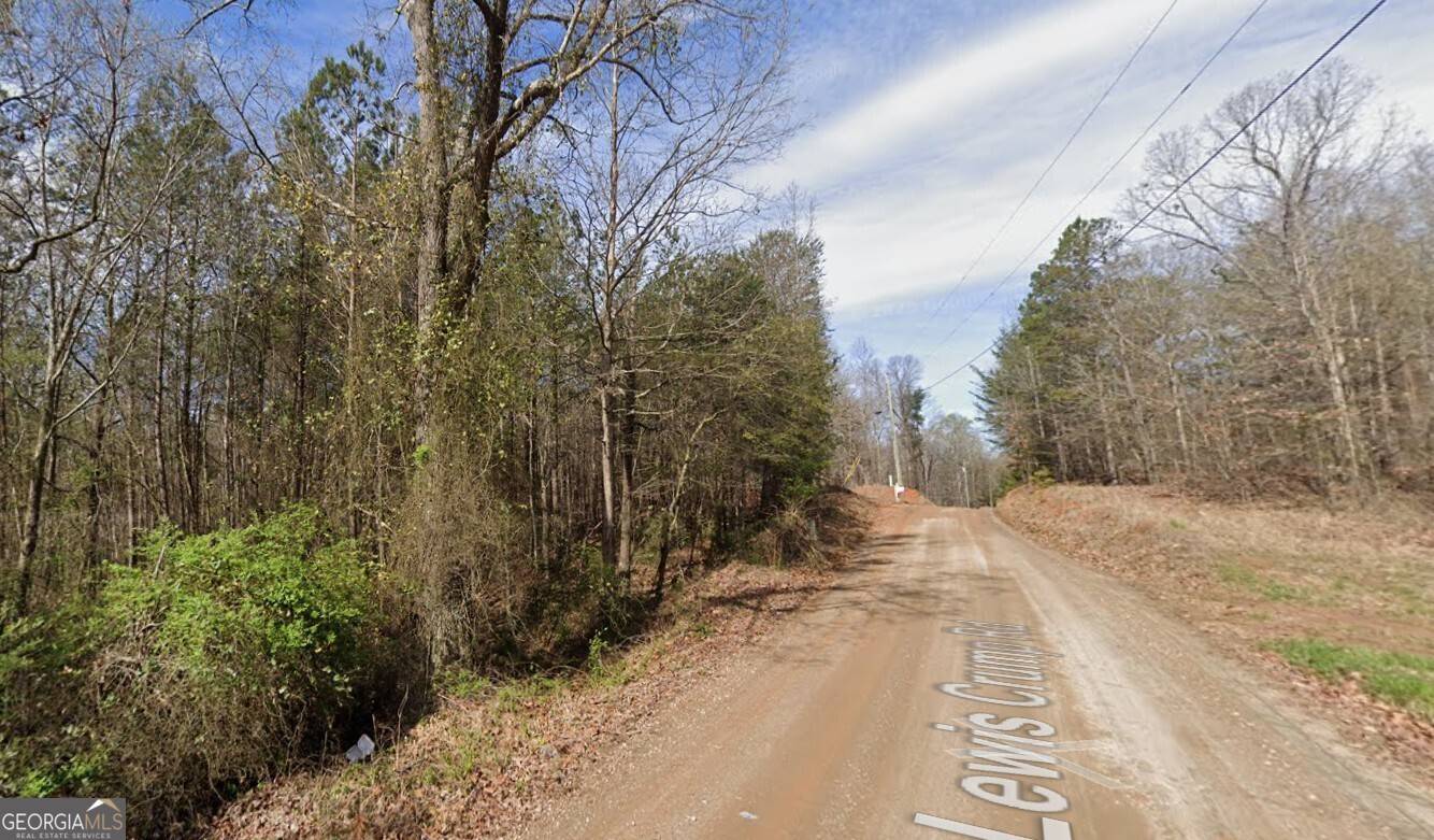 Carnesville, GA 30521,125 Lewis Crump RD