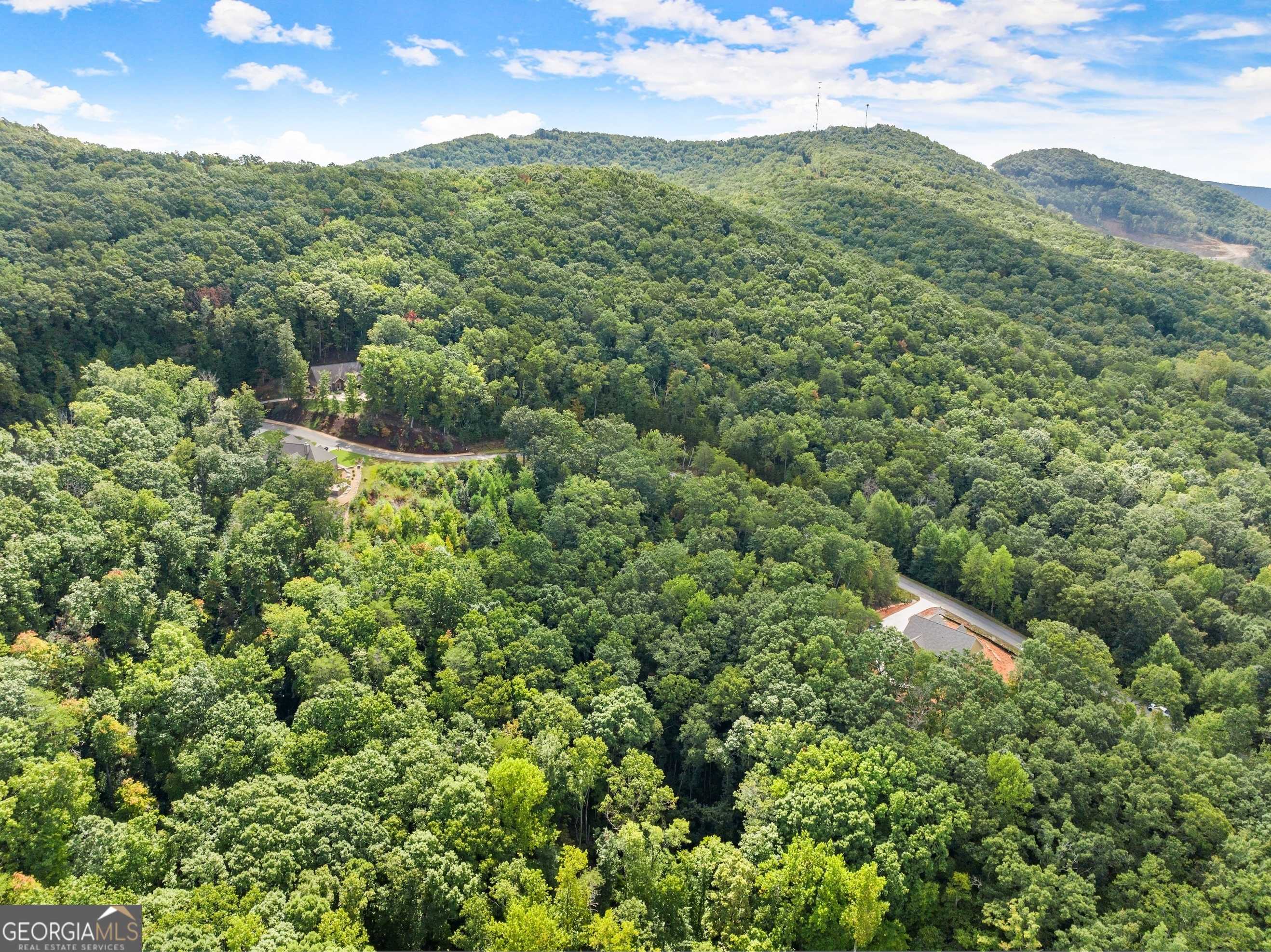 Cleveland, GA 30528,LOT 24 Long Mountain