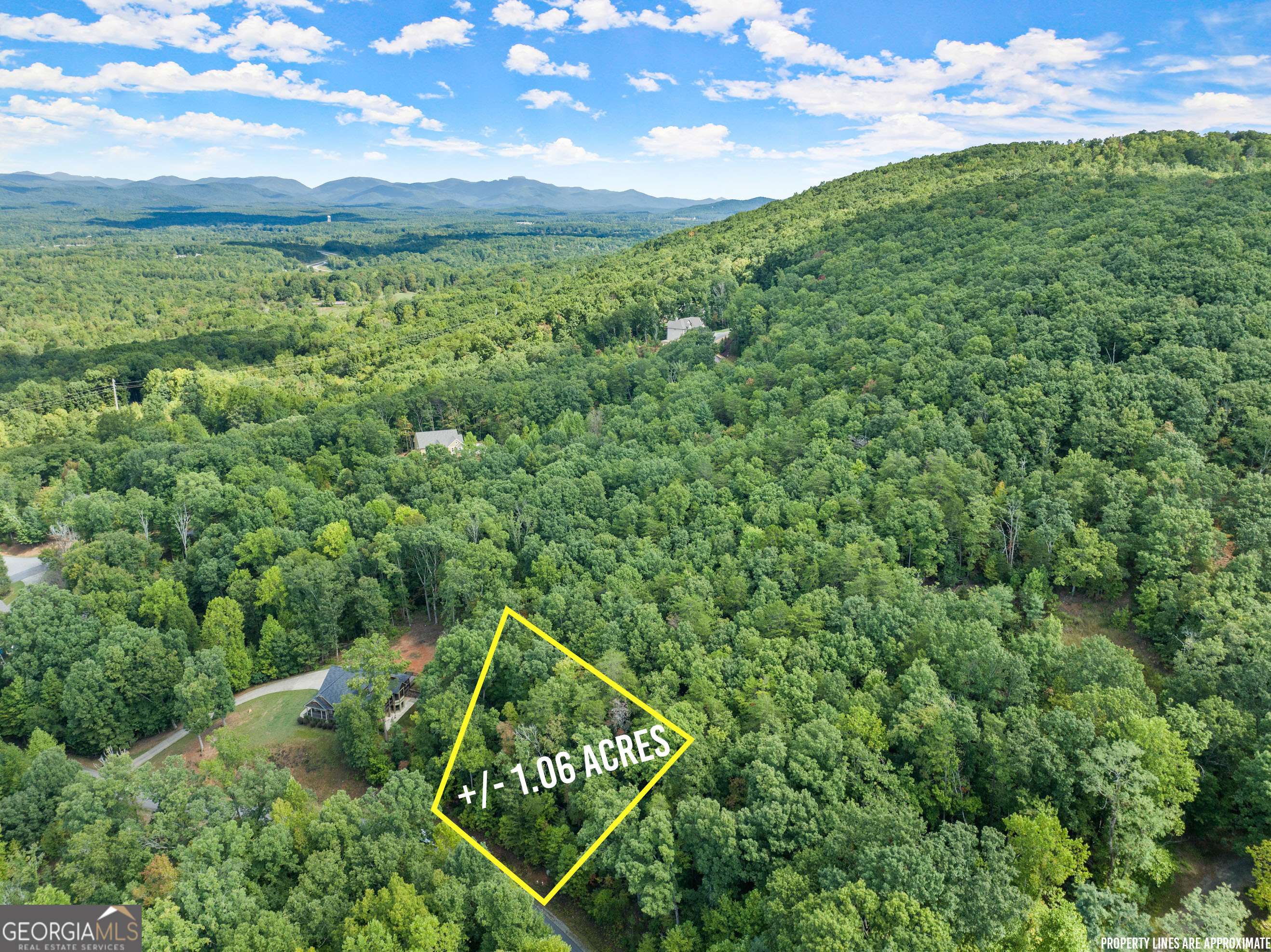 Cleveland, GA 30528,LOT 49 Long Mountain TRL