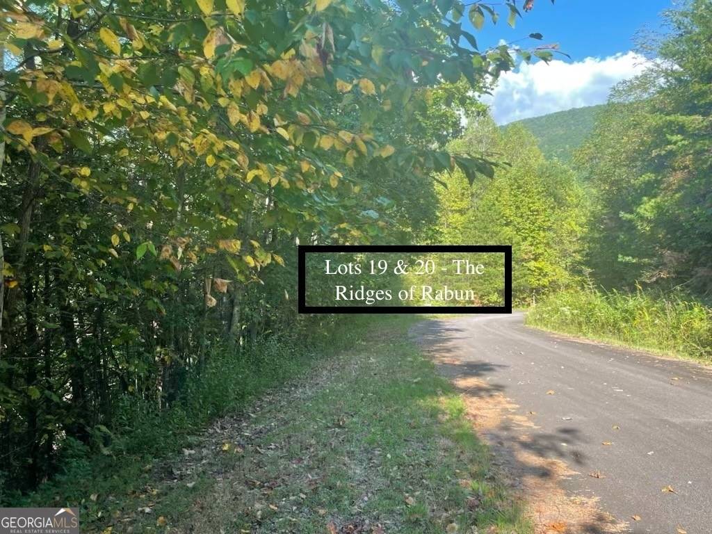 Rabun Gap, GA 30568,LOTS 19 & 20 Shake Hollow RD