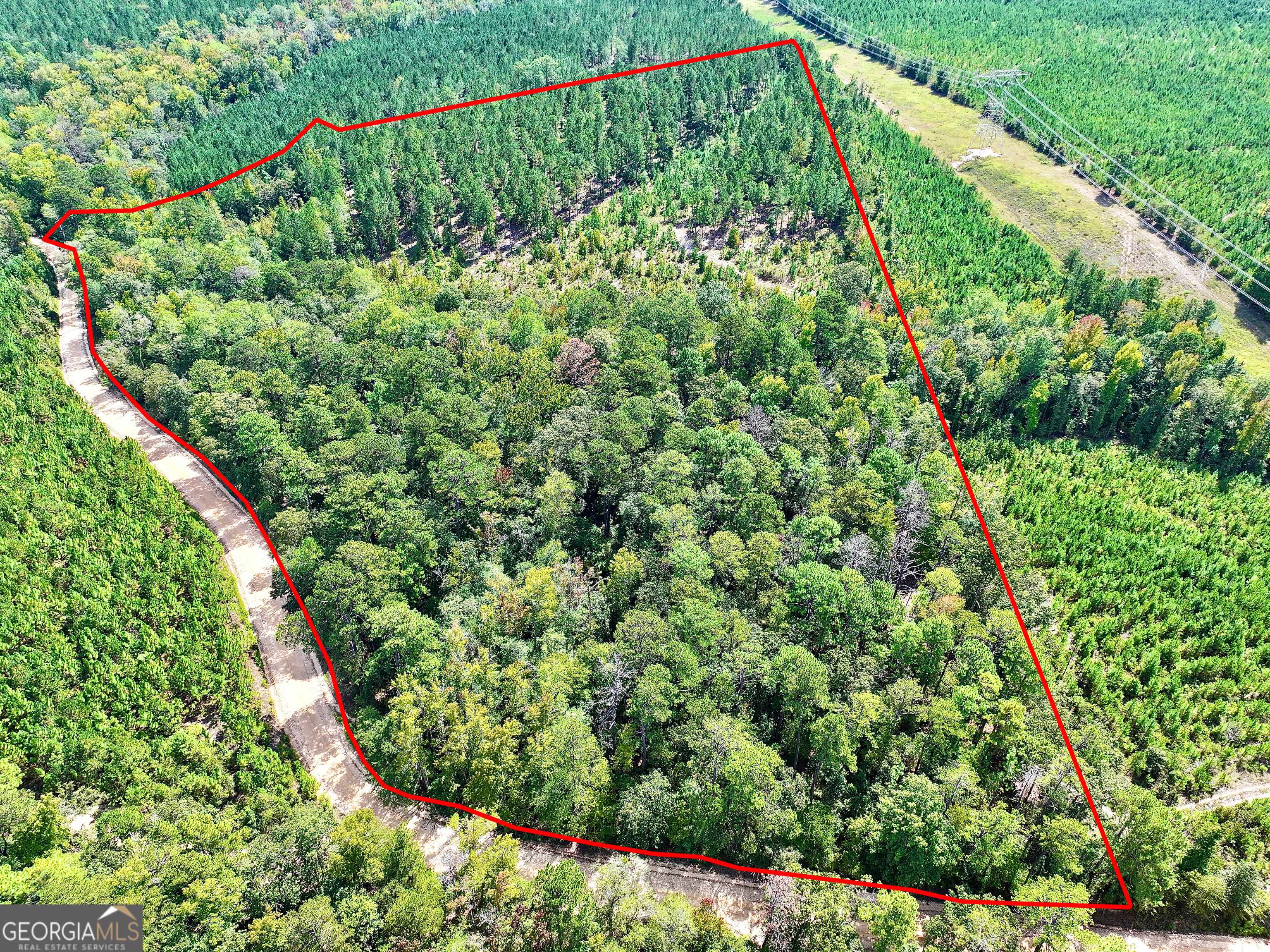 Warthen, GA 31094,1000 Union Church RD