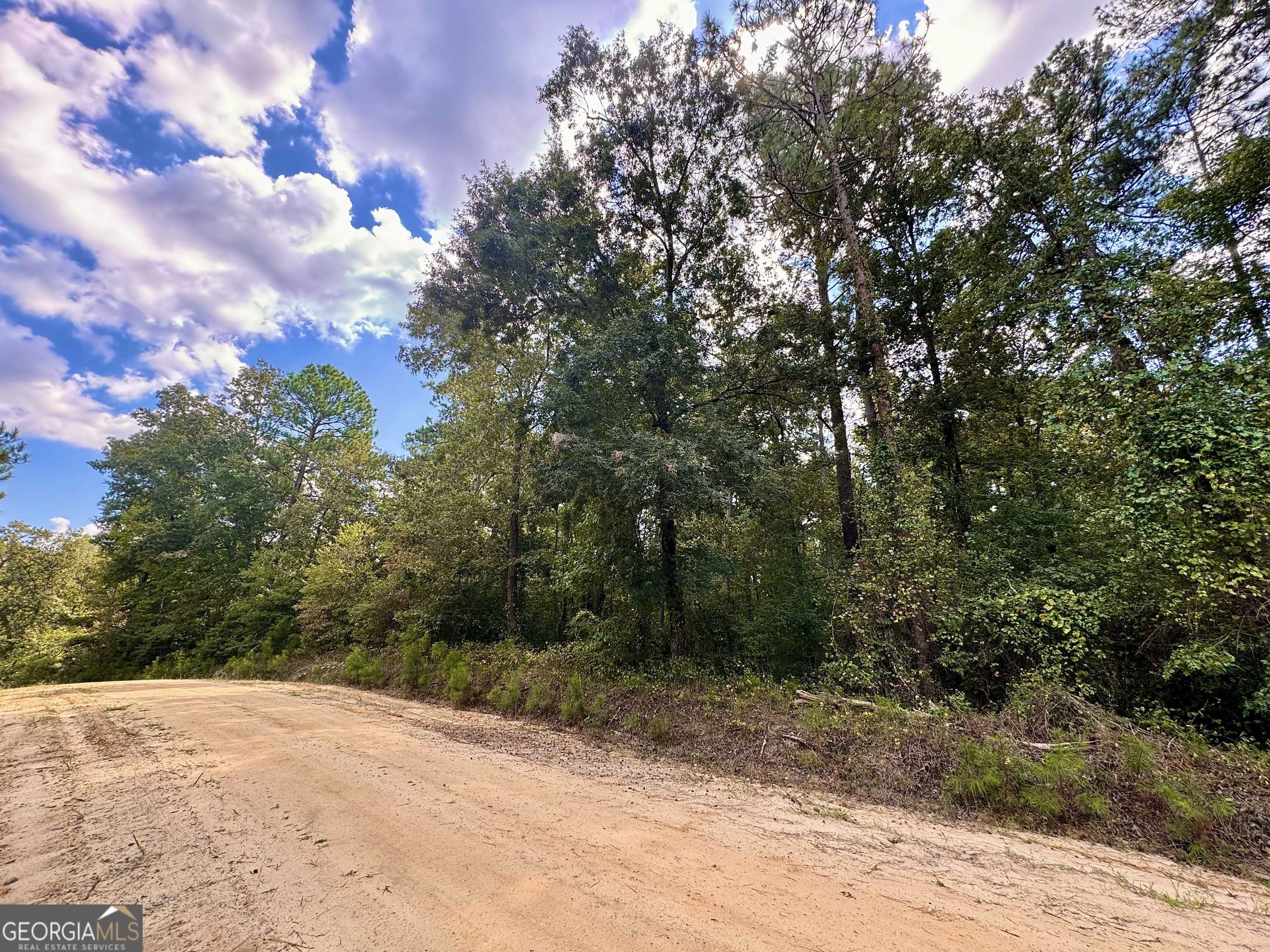 Warthen, GA 31094,1000 Union Church RD