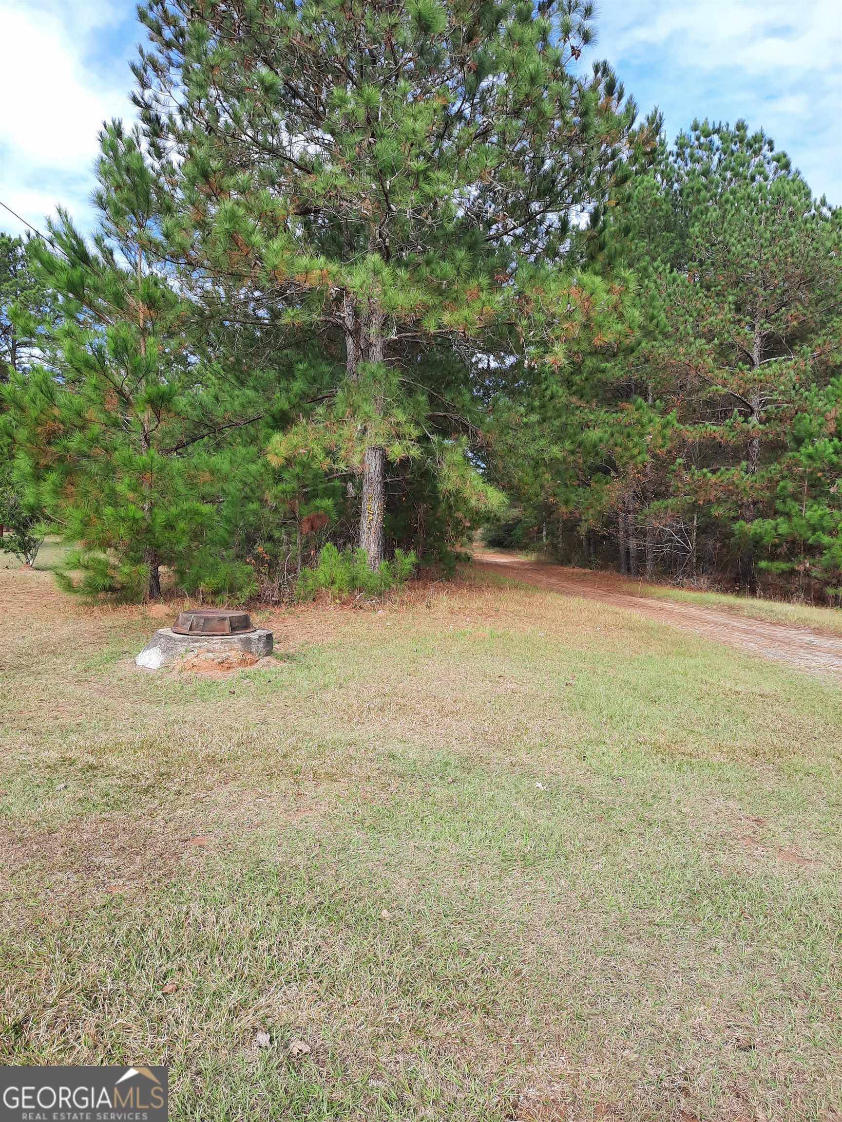 Hawkinsville, GA 31036,0 Industrial BLVD