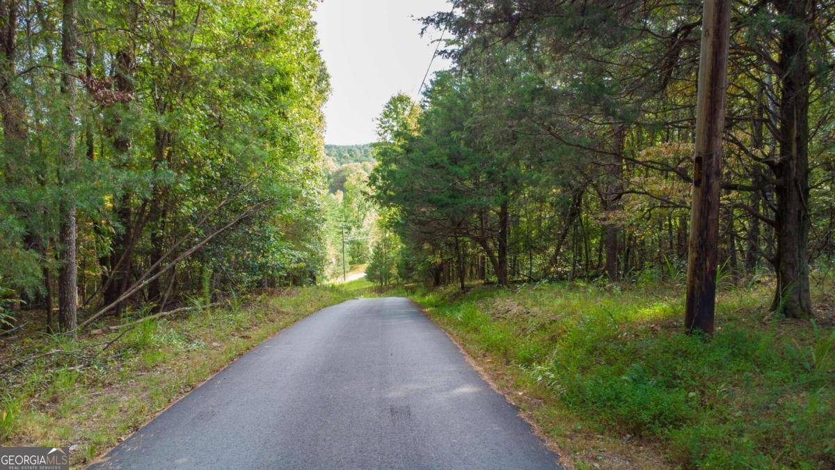 Dahlonega, GA 30533,0 Rock Chimney LN