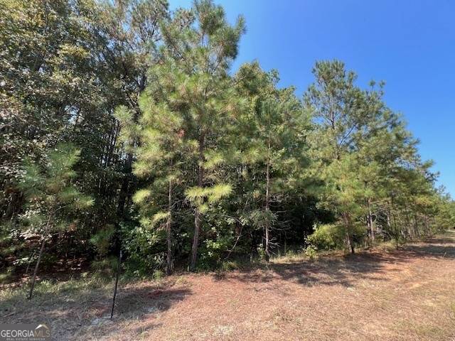 Warthen, GA 31094,112 Rhett Trail