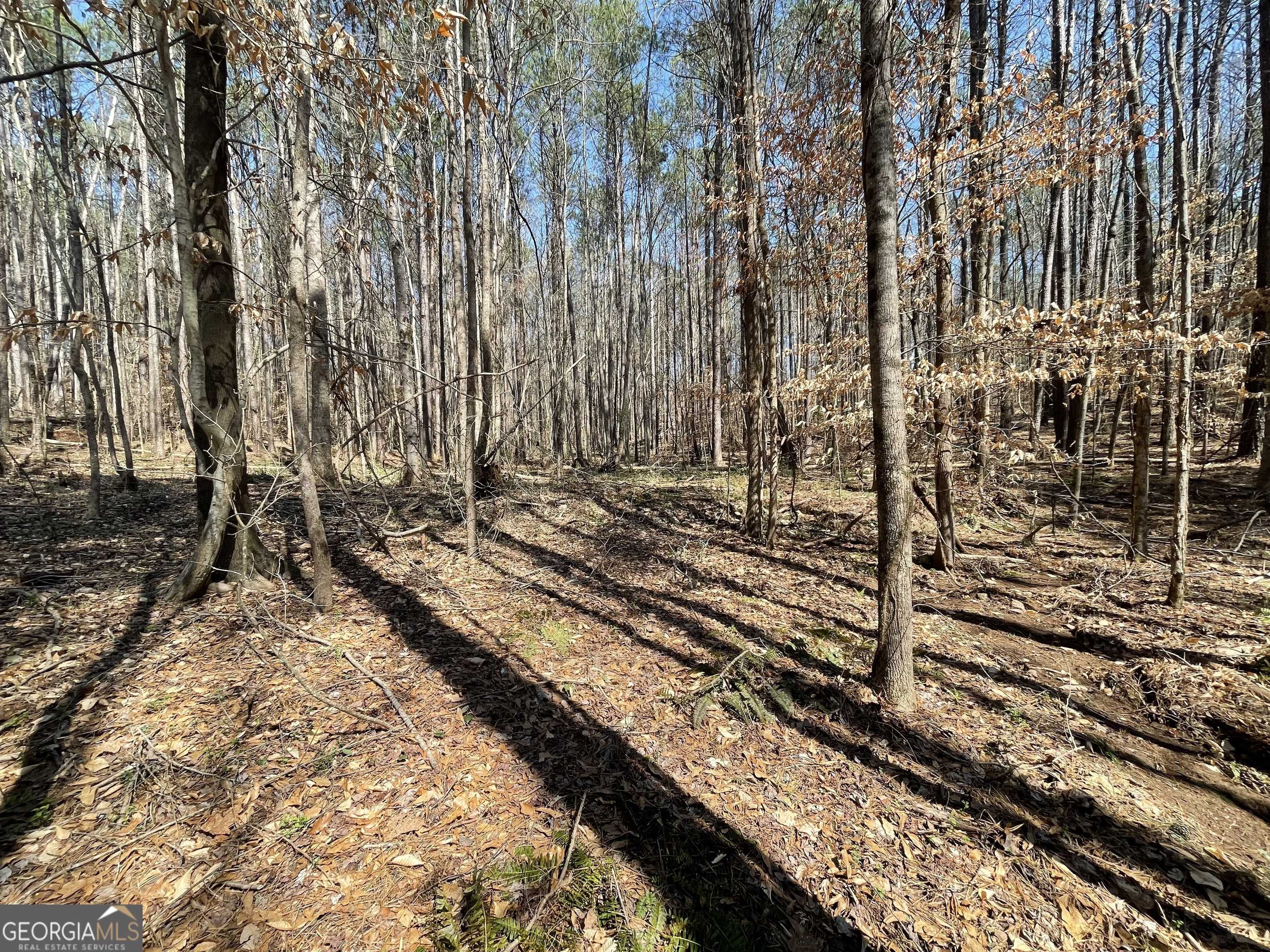 Franklin, GA 30217,0 Joe Cook RD #LOT 1