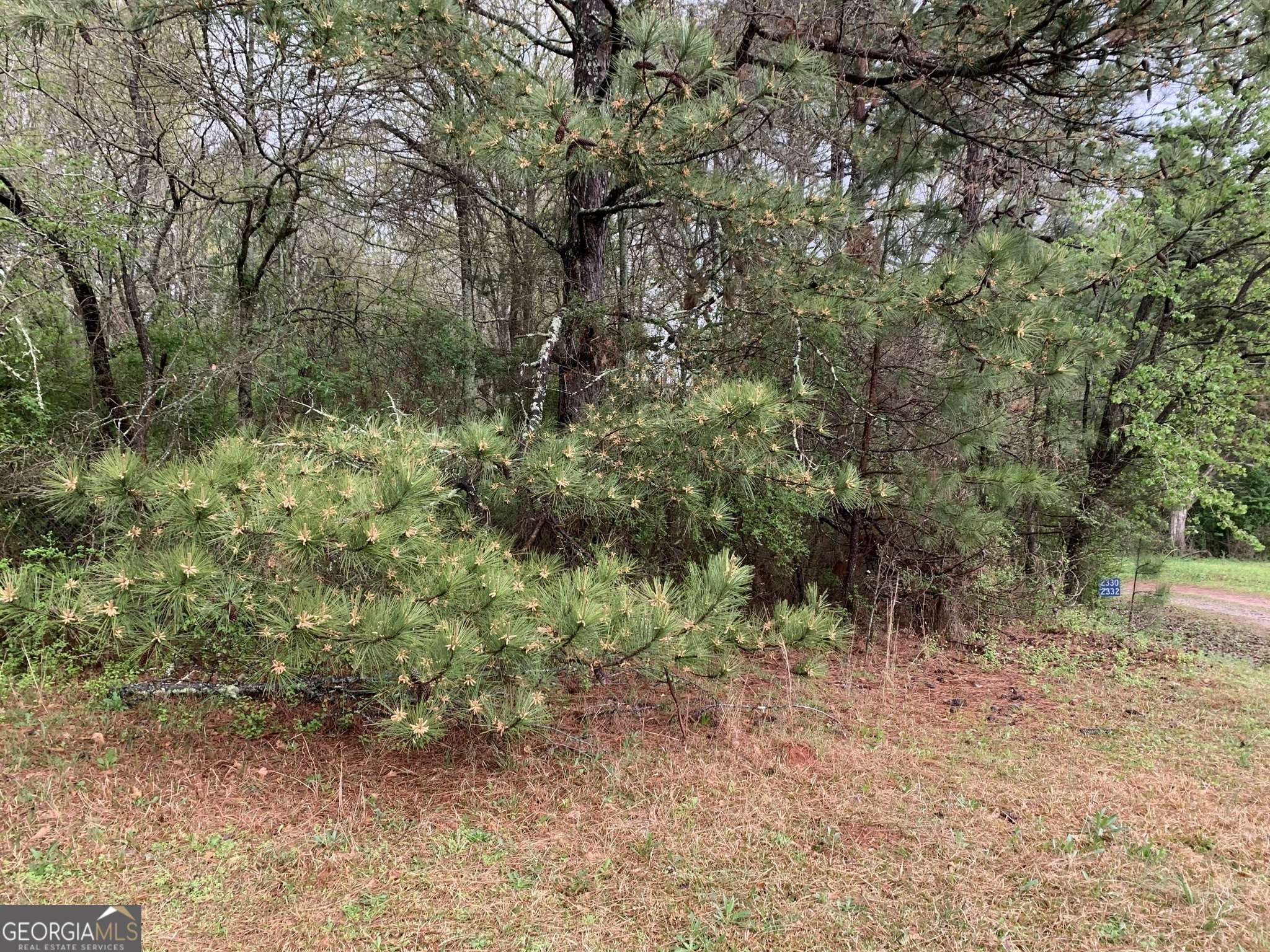 Statham, GA 30666,2342 Atlanta HWY